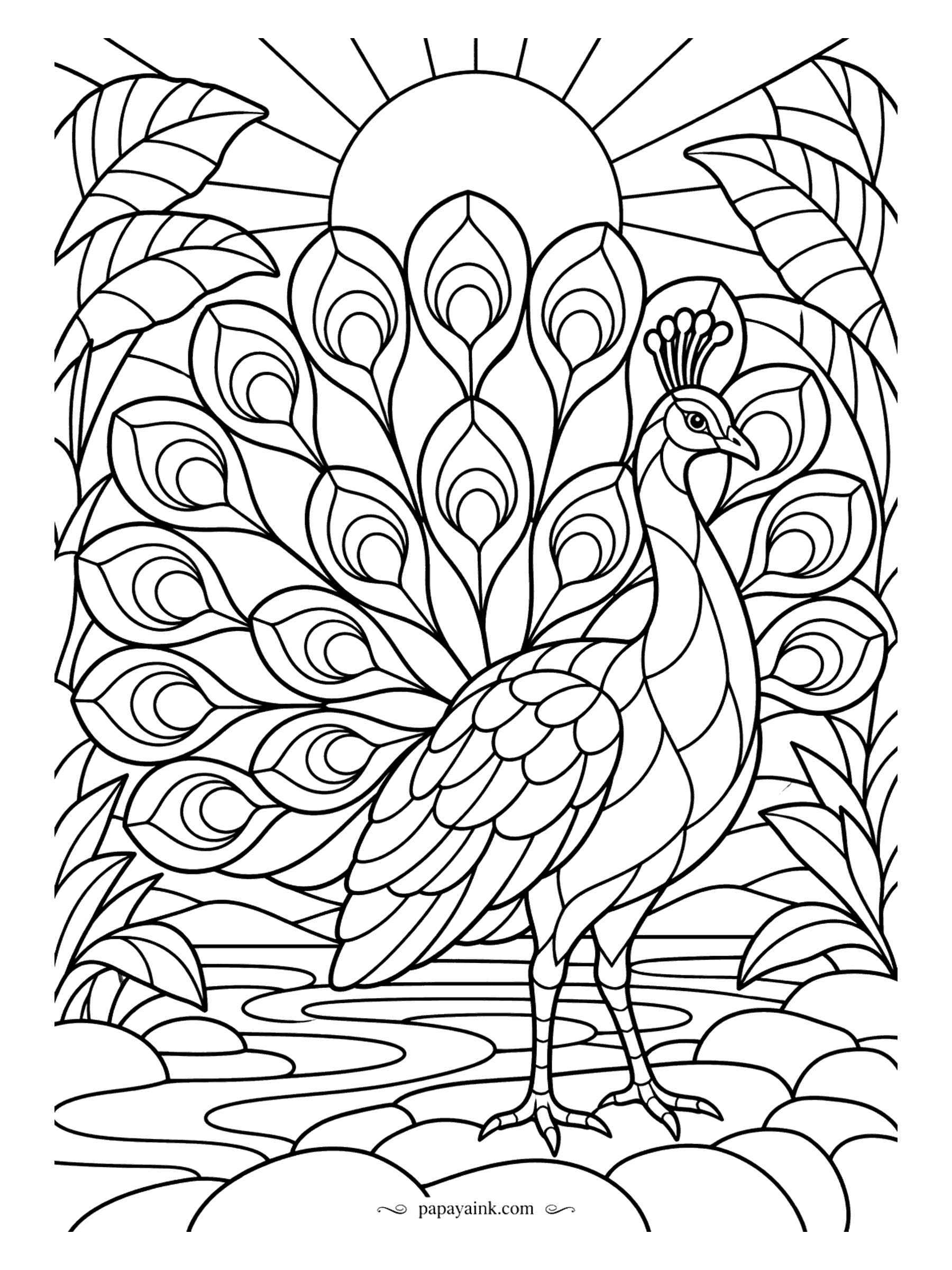 Peacock Coloring Pages - Leaded glass: thick outlines, sun rays behind the head, the tail fanned into panels like a church window. Color each pane solid and leave the lines black - the result holds up with light behind it.