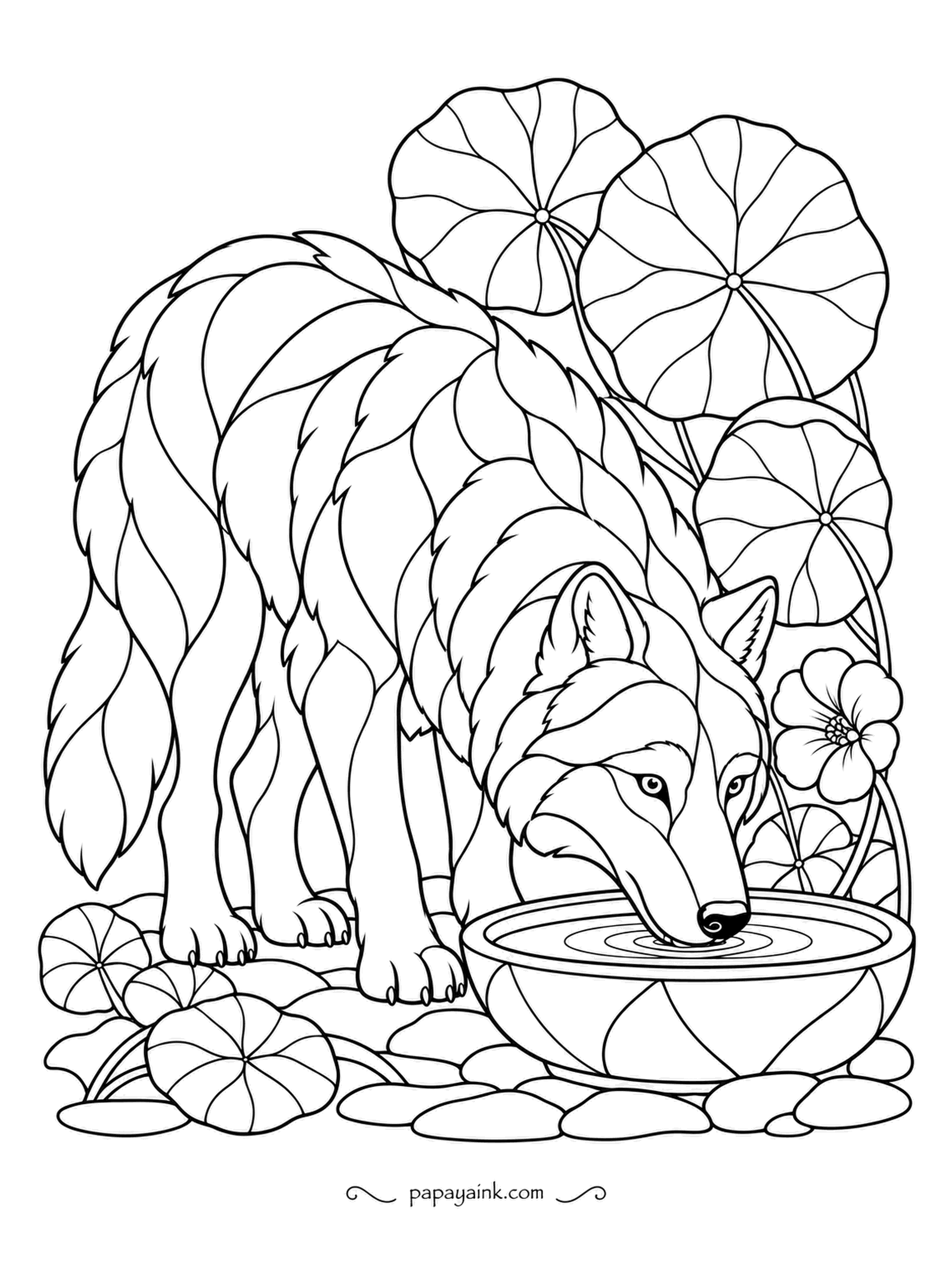 Wolf Coloring Pages - Leaded-glass lines break the wolf into panels as it laps from a garden bowl among round leaves and a single bloom. Fill each panel with one solid color and let the black lines do the rest.
