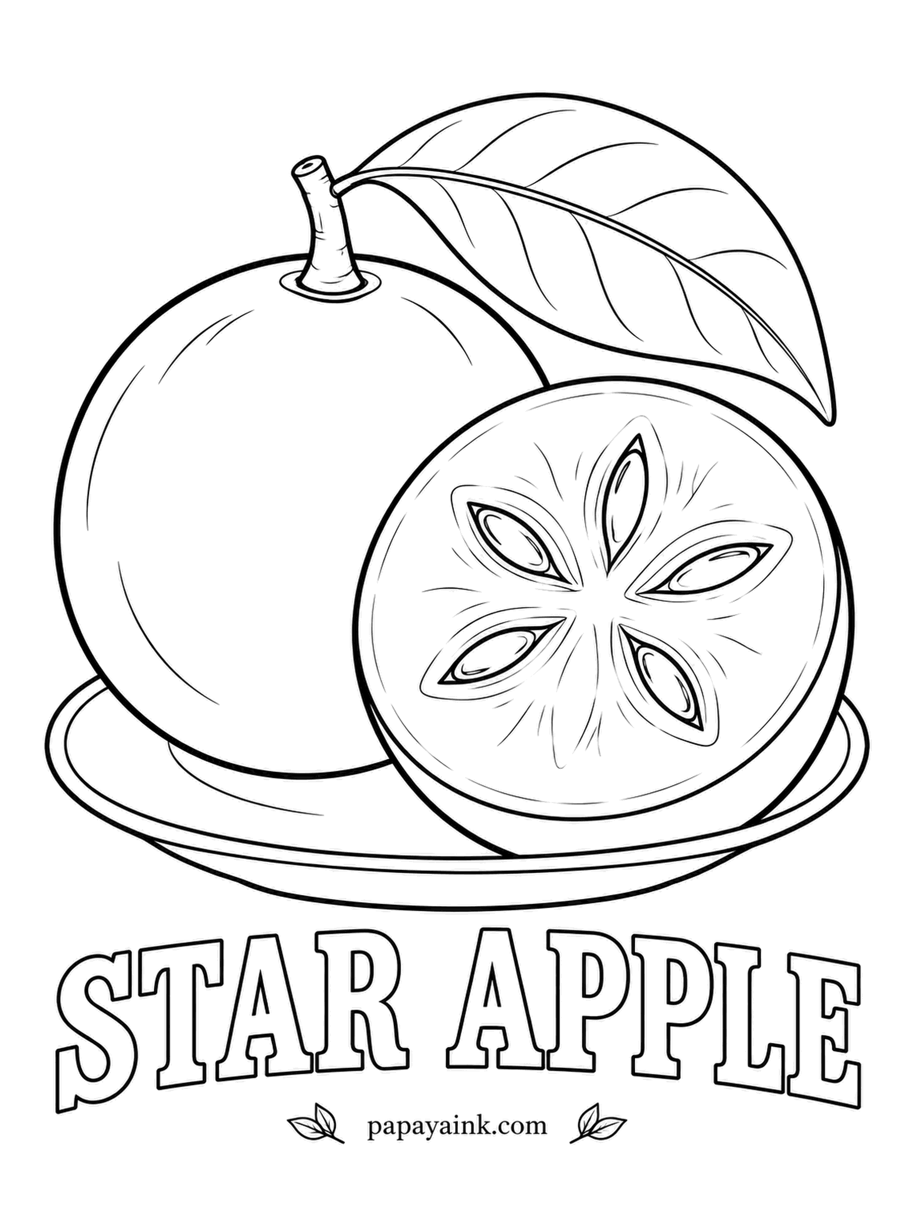 Printable Fruit Coloring Pages - Cut a star apple across the middle and the seed pattern draws a star, exactly as it does here. The peel is smooth and either green or deep purple; purple ones have a lavender flesh that blends to white in the center.