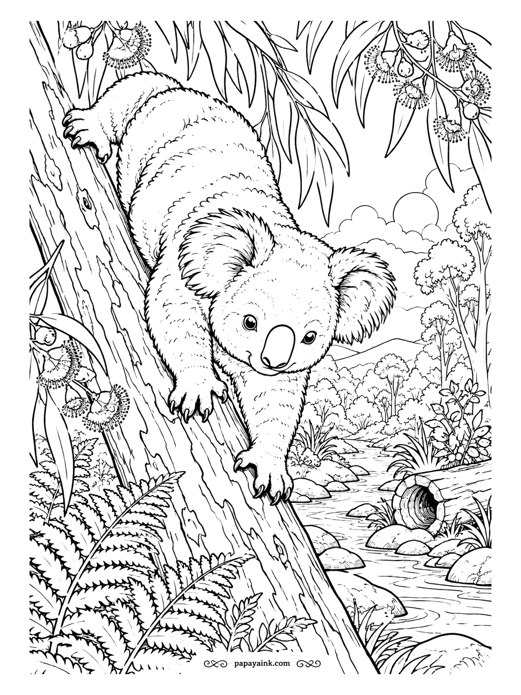 Koala Coloring Pages - Head first down a leaning trunk toward the creek, with ferns, a hollow log and gum blossoms filling the scene like a spread from a picture book. Earthy browns and greens, then one bright color for the water. Detailed.