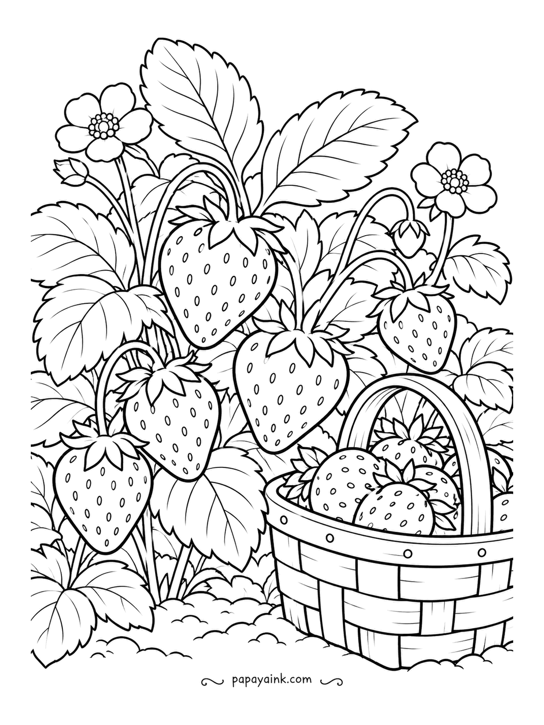 Farm Coloring Pages - Strawberry plants with berries bigger than the blossoms, a woven basket half full at the edge of the patch. Seeds appear as tiny dots, so leave them for last. Bright red fruit, white flowers, dark leaves.