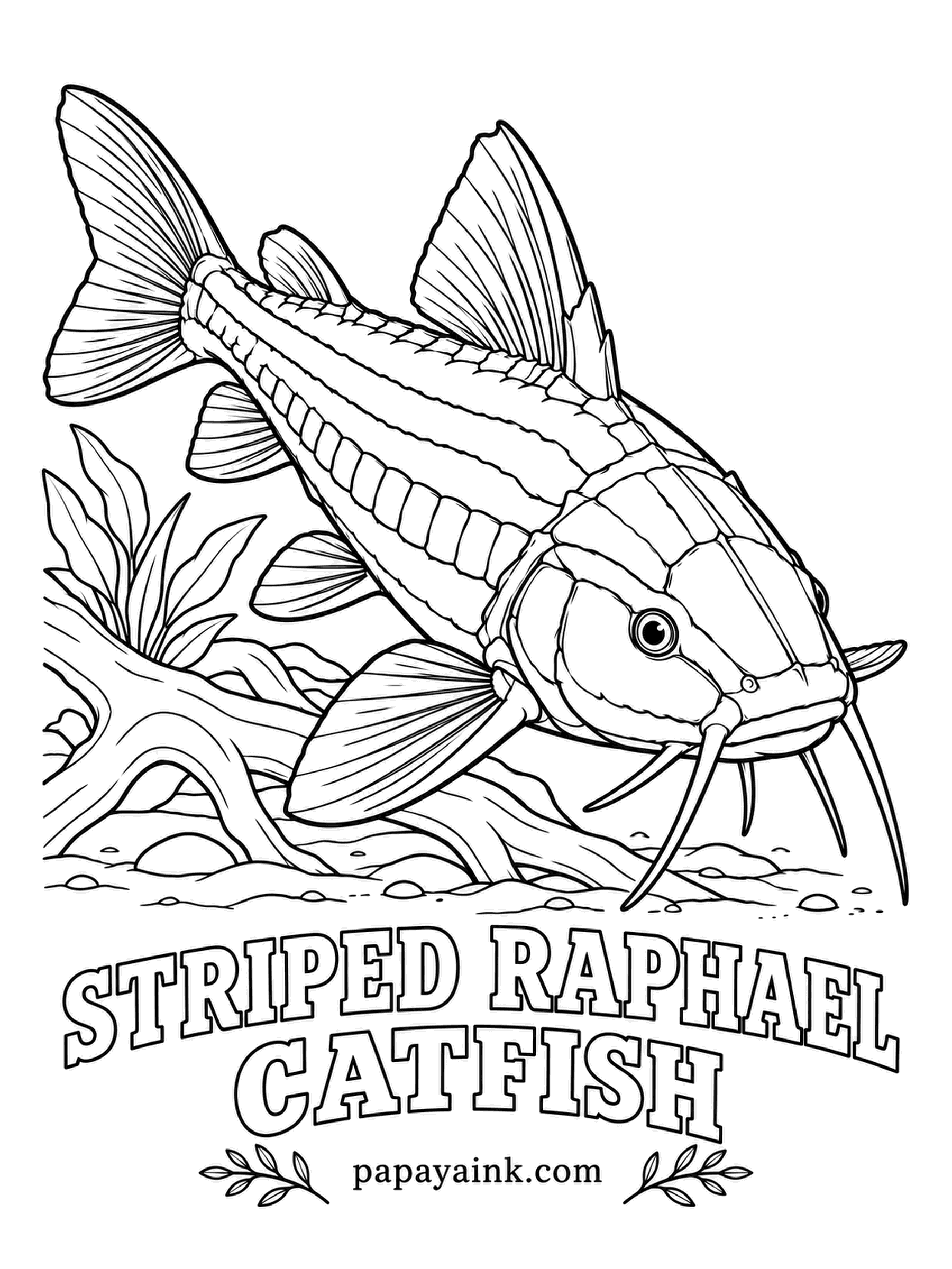 Aquarium Fish Coloring Pages - Bony plates with tiny hooks run down each side, and when something grabs it, this catfish locks its fin spines straight out so it cannot be swallowed. Bold cream stripes run the length of a black body. Leave the stripes clean and bright.