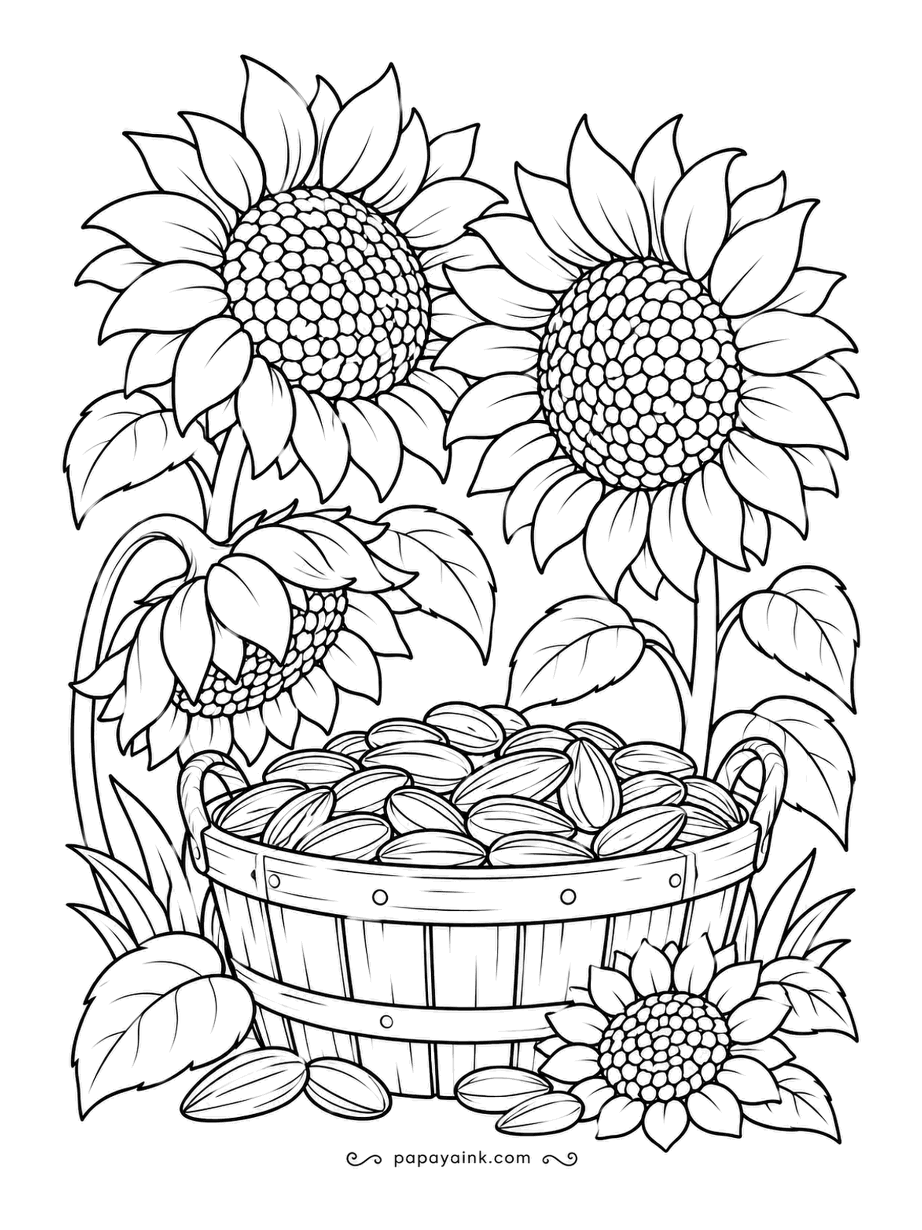 Farm Coloring Pages - Sunflower heads drooping under their own weight toward a basket of loose seeds, one flower already stripped and bowed. Autumn, not summer. Brown centers, striped gray for the seeds, and petals in a tired gold.