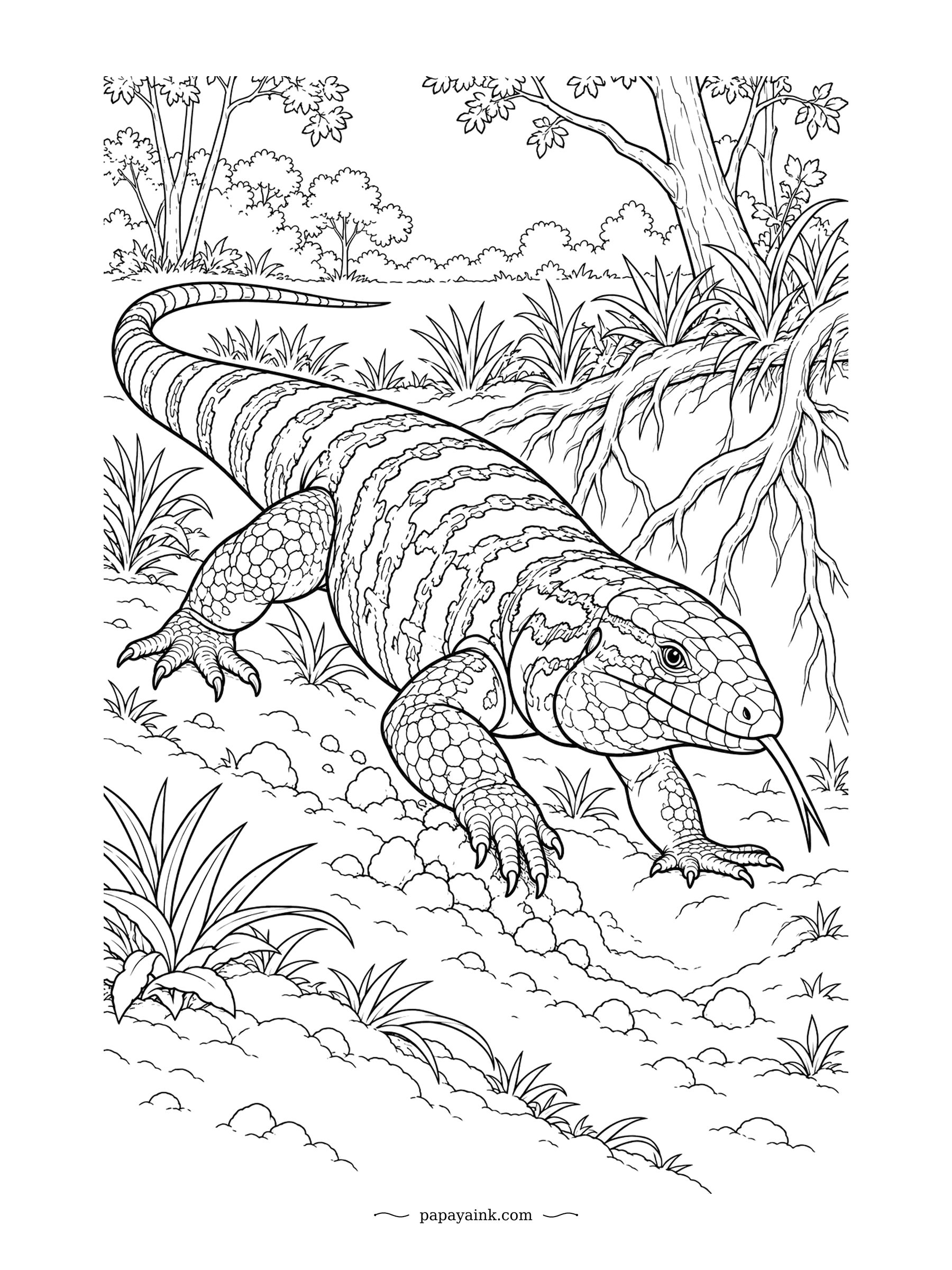 Lizard Coloring Pages - Tegus are powerful diggers and nose through loose soil looking for food. This big striped one is investigating the roots of a tree. Detailed banding and scales for patient shading.