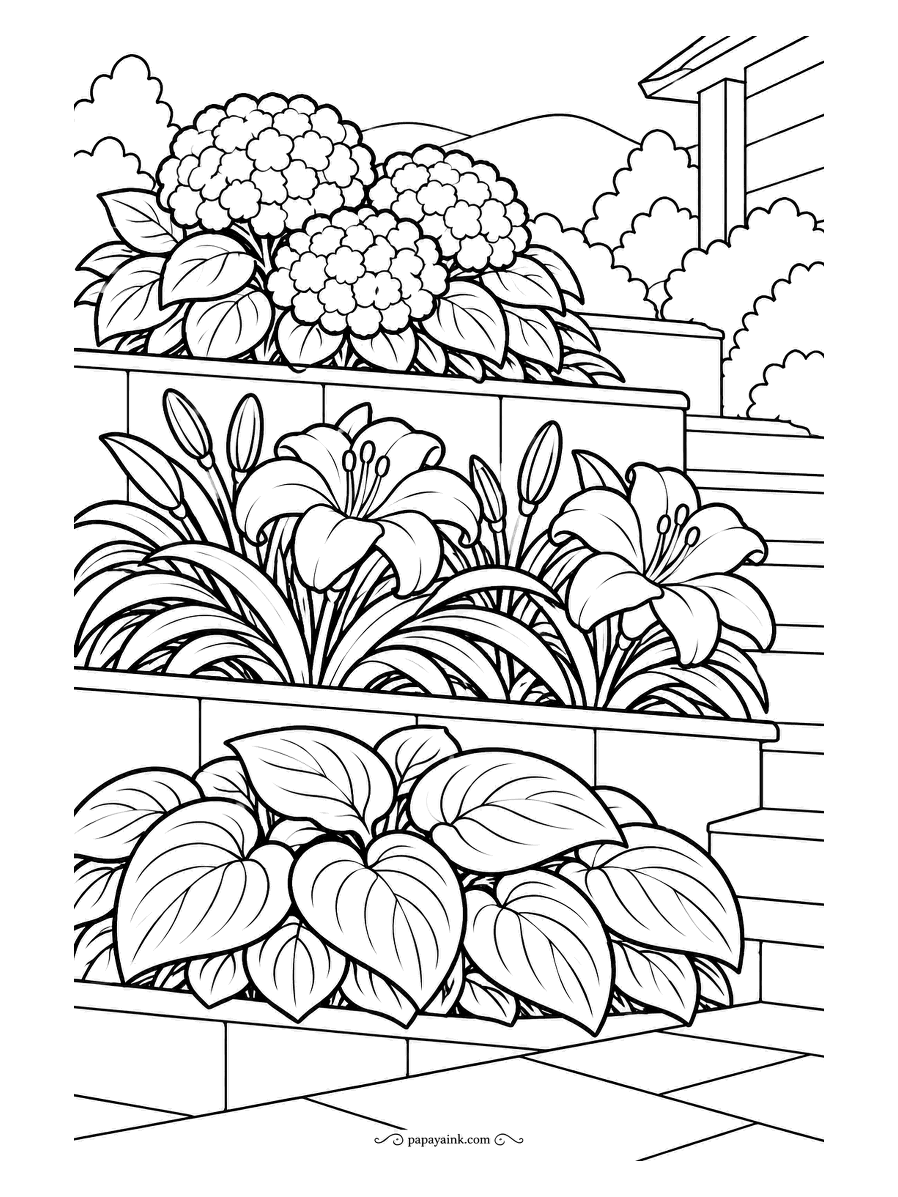 Garden Coloring Pages - Terraces climb the sheet in tiers: hostas with ribbed leaves on the lowest, daylilies in bud and bloom in the middle, hydrangea heads on top, with hills far behind. Use one green per level, lightest at the top, and the slope appears on its own.