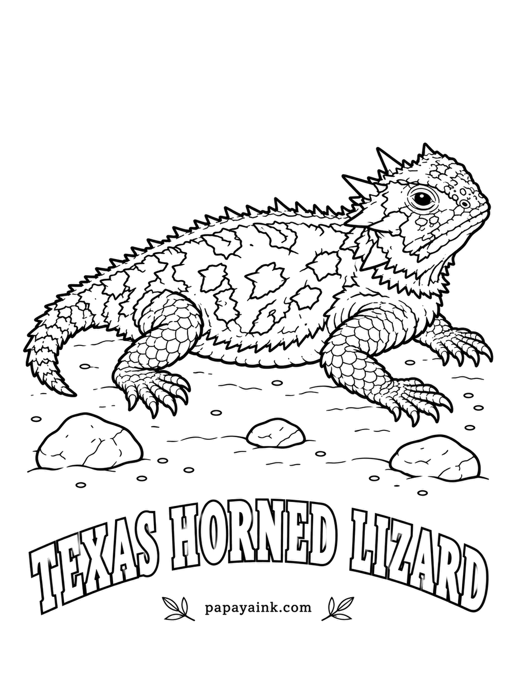 Reptile Coloring Pages - The state reptile of Texas, flat as a pancake and crowned with horns, lives mostly on harvester ants. Sand and tan with dark blotches edged in cream let it vanish into the ground - or go bright and let it be seen for once. Detailed.