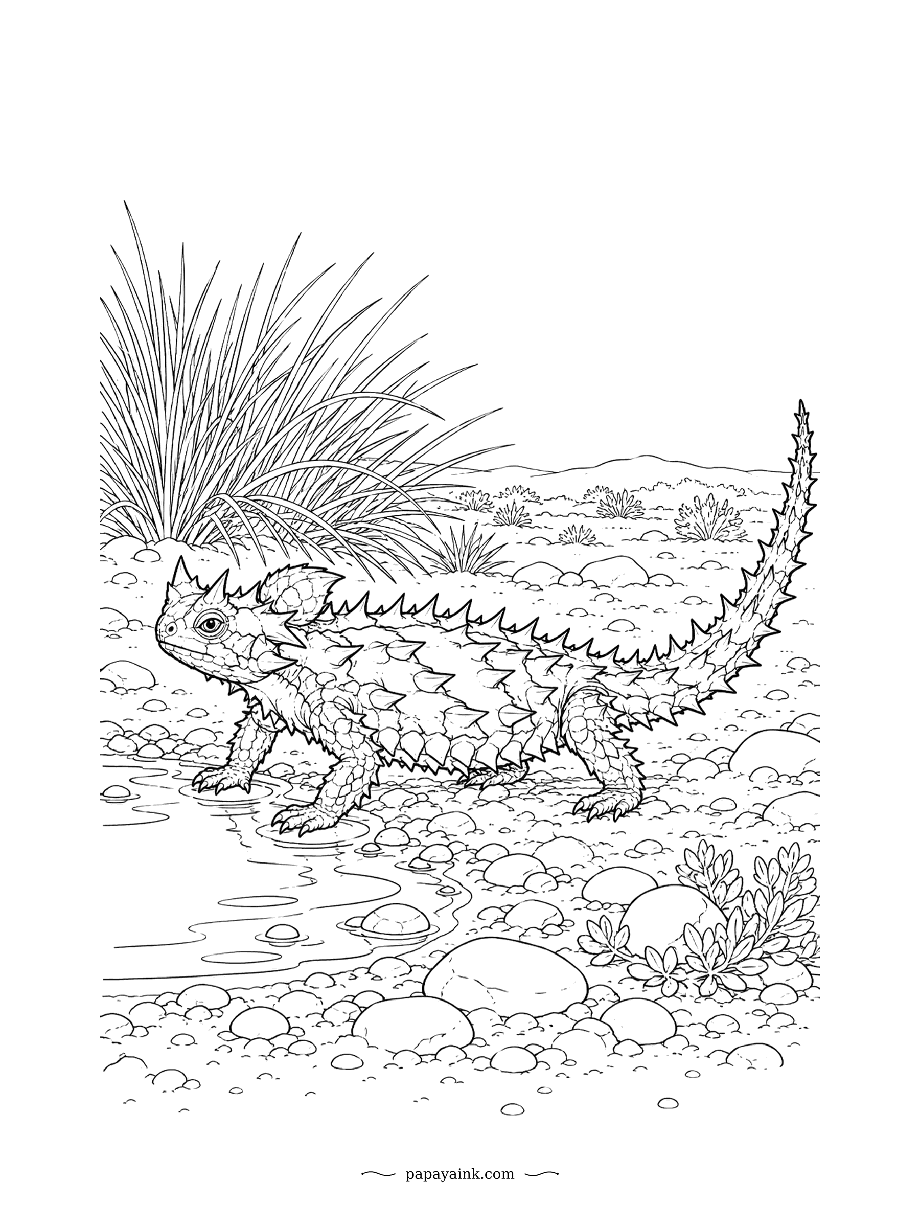 Lizard Coloring Pages - The thorny devil collects water with its skin: tiny grooves between the spines wick moisture straight to its mouth. This one stands in a damp patch of ground to soak it up. Detailed spines and gravel.
