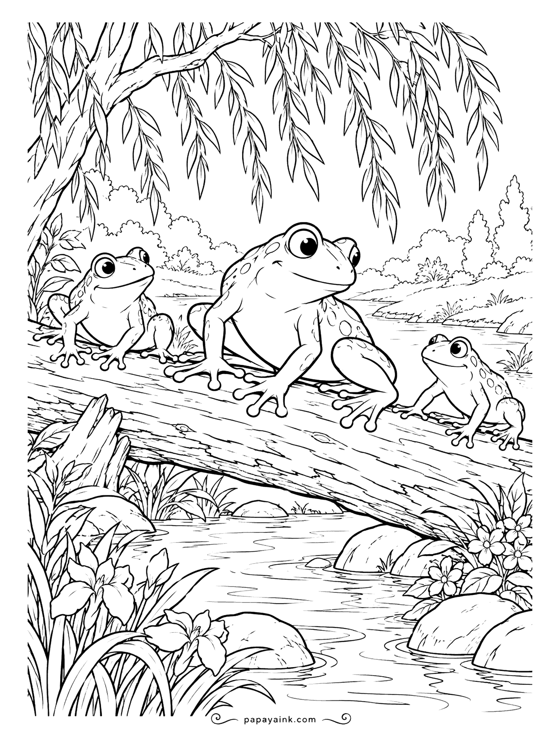 Frog Coloring Pages - Family outing on a fallen log beneath a weeping willow, three frogs looking three different ways. Let the willow run from pale yellow-green to deep green so the frogs in the middle stand out.