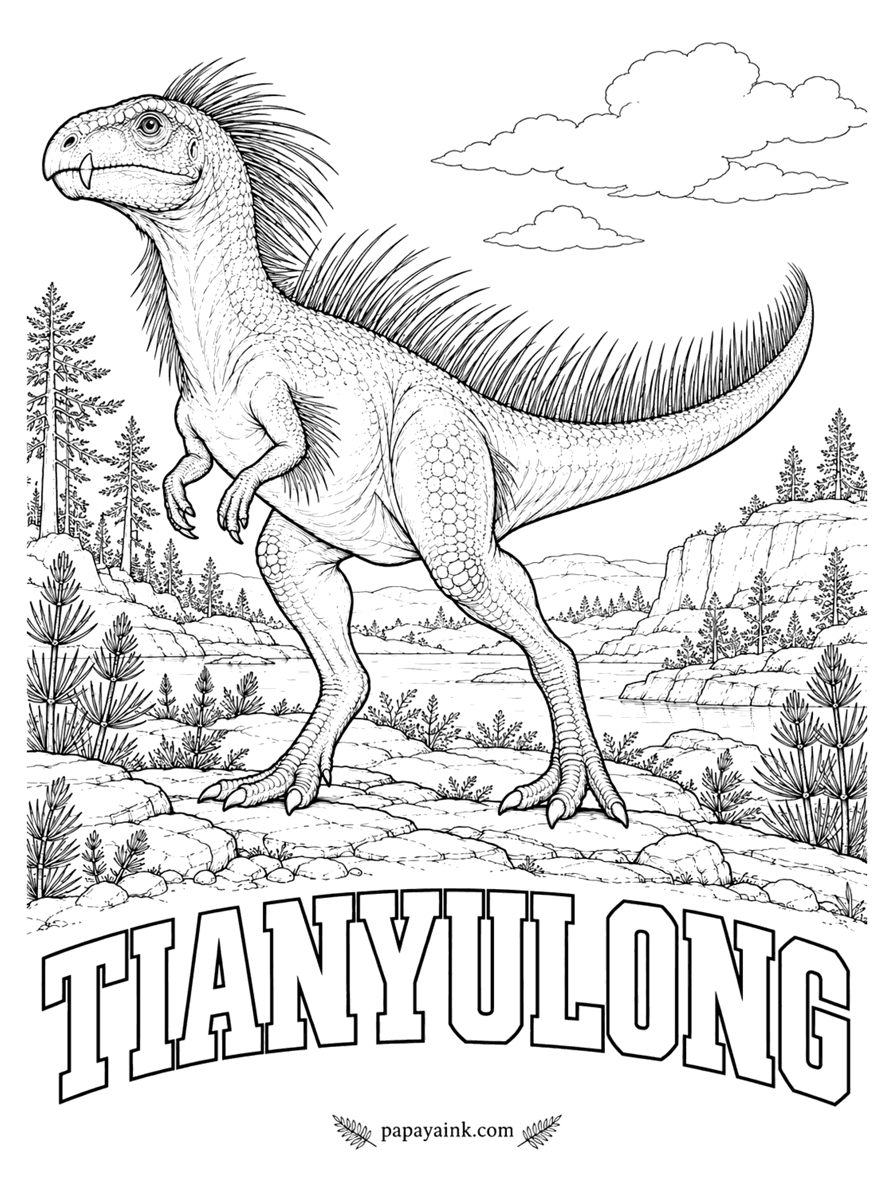 Free Printable Dinosaur Coloring Pages - Fuzz on a plant-eater helped change the picture: fuzzy coverings were not just for the meat-eating dinosaurs. Tianyulong (tyen-yoo-LONG, Tianyu dragon, after the museum that holds it) had long stiff filaments along its neck, back and tail and a pair of small fangs. Mostly a plant-eater, about 2 feet long. China, about 160 million years ago.