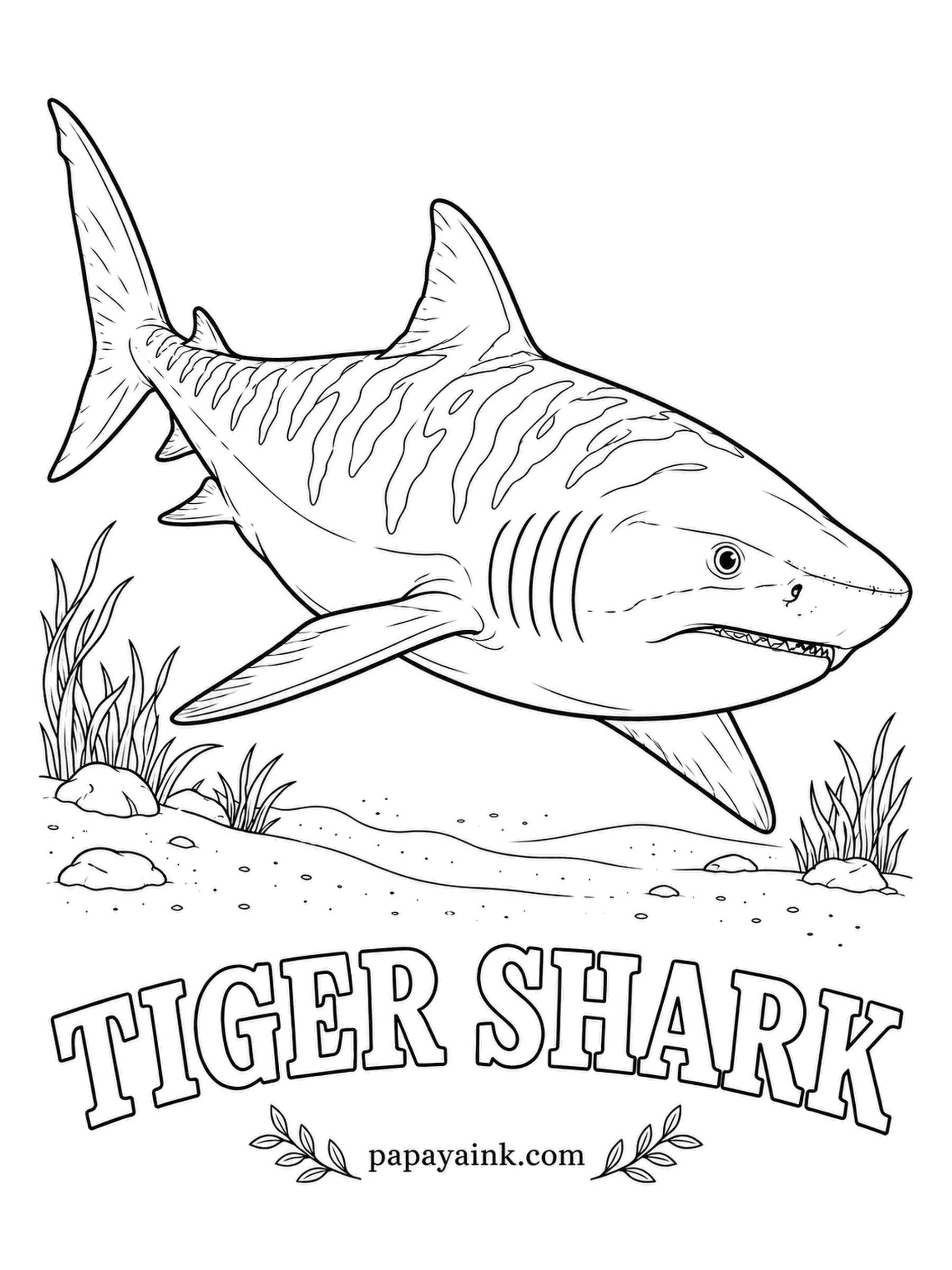 Ocean Fish Coloring Pages - Stripes are boldest on young tiger sharks and fade with age, so big adults look almost plain. Few predators are less picky - tin cans have turned up in their stomachs. Blue-gray overall, darker bars across the back, white underside.