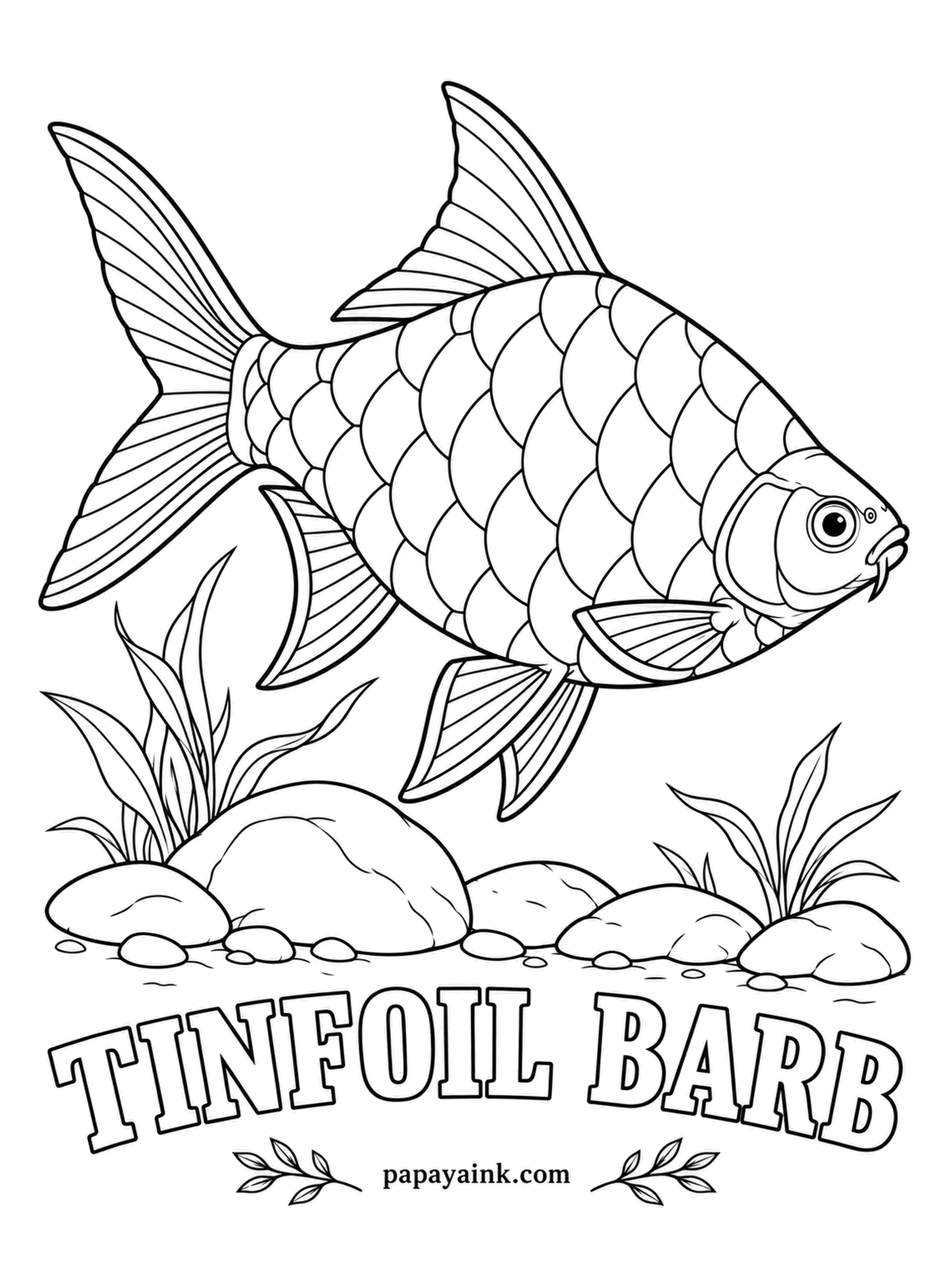 Aquarium Fish Coloring Pages - Every scale works like a small mirror, which is how the tinfoil barb got its name. Its fins are red, with a black edge along the tail. Try silver gray for the body and leave a white highlight in the middle of each scale.