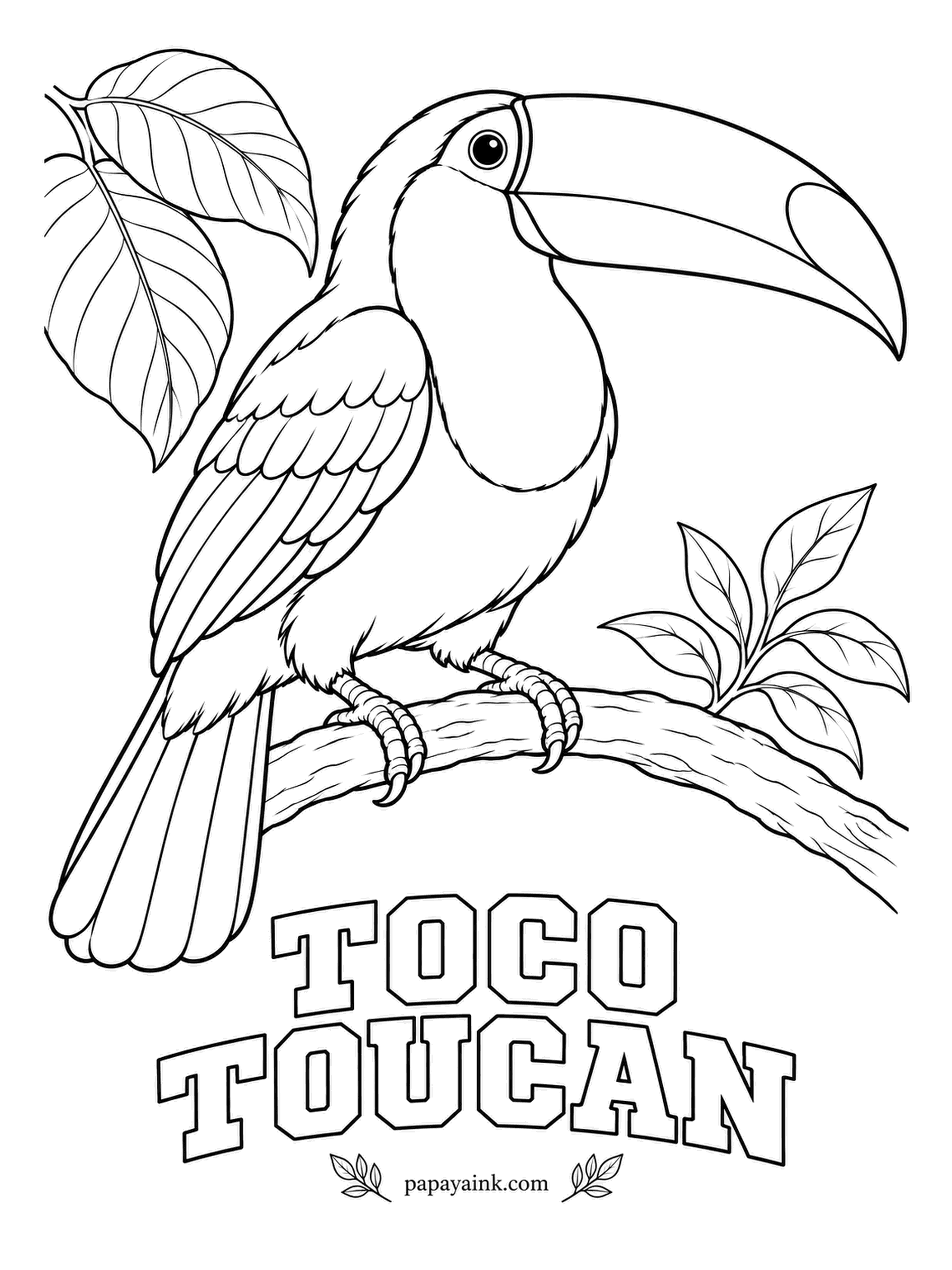 Printable Bird Coloring Pages - Huge but nearly weightless, the bill is a honeycomb of bone that the Toco Toucan uses to shed heat. Black body, white throat, an orange bill with a black spot at the tip, and bare orange skin around a blue eye ring.