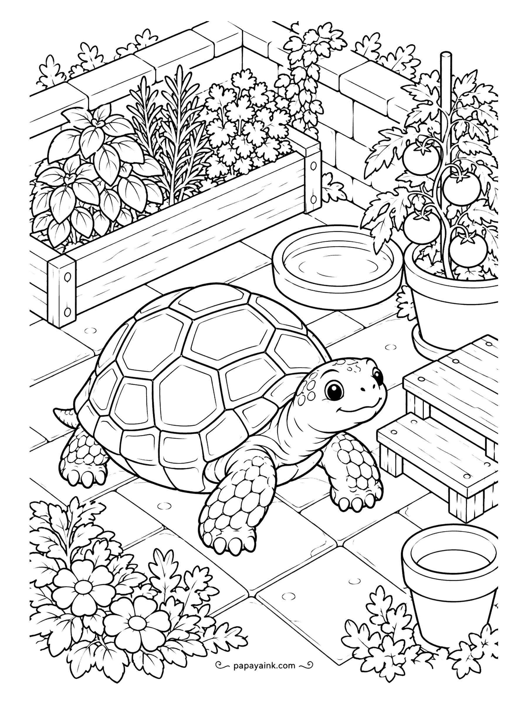 Turtle Coloring Pages - Seen from an angle, like a tiny model: a raised bed of basil, parsley and rosemary, a tomato plant on a stake, a bench and a water dish, with a tortoise crossing the patio. Tidy shapes, plenty of greens to practice shading.