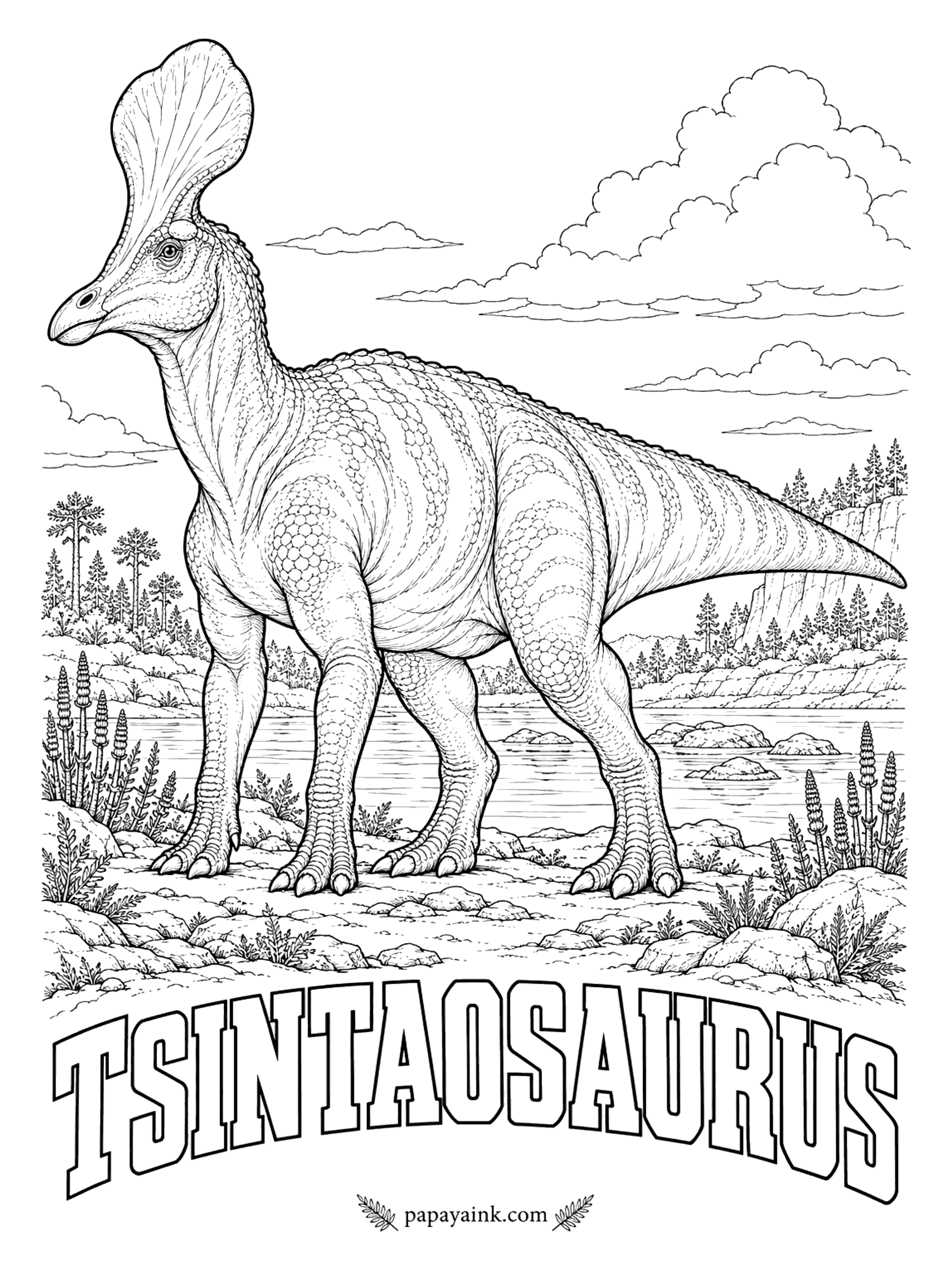 Free Printable Dinosaur Coloring Pages - For decades it was drawn with a single spike like a unicorn's horn. A 2013 study showed the spike was only the back edge of a much larger, tall hollow crest. Tsintaosaurus (CHING-dow-SORE-us, Qingdao lizard) was a duck-billed plant-eater about 27 feet long. China, more than 70 million years ago.