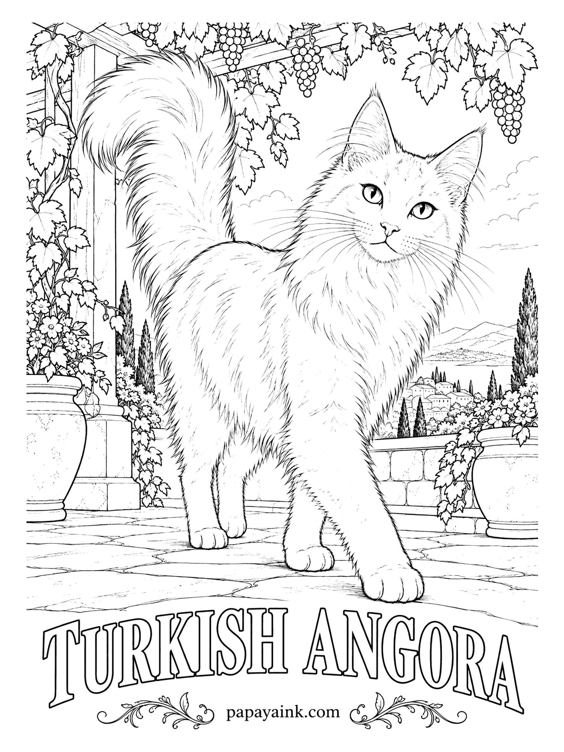 Free Printable Cat Coloring Pages - Under the grape arbor stands the Turkish Angora, an old breed from Ankara with a silky coat and a tail like a plume. Pure white with blue, amber or odd eyes is the best-known look, though black, red, cream and tabby exist. Detailed tail.