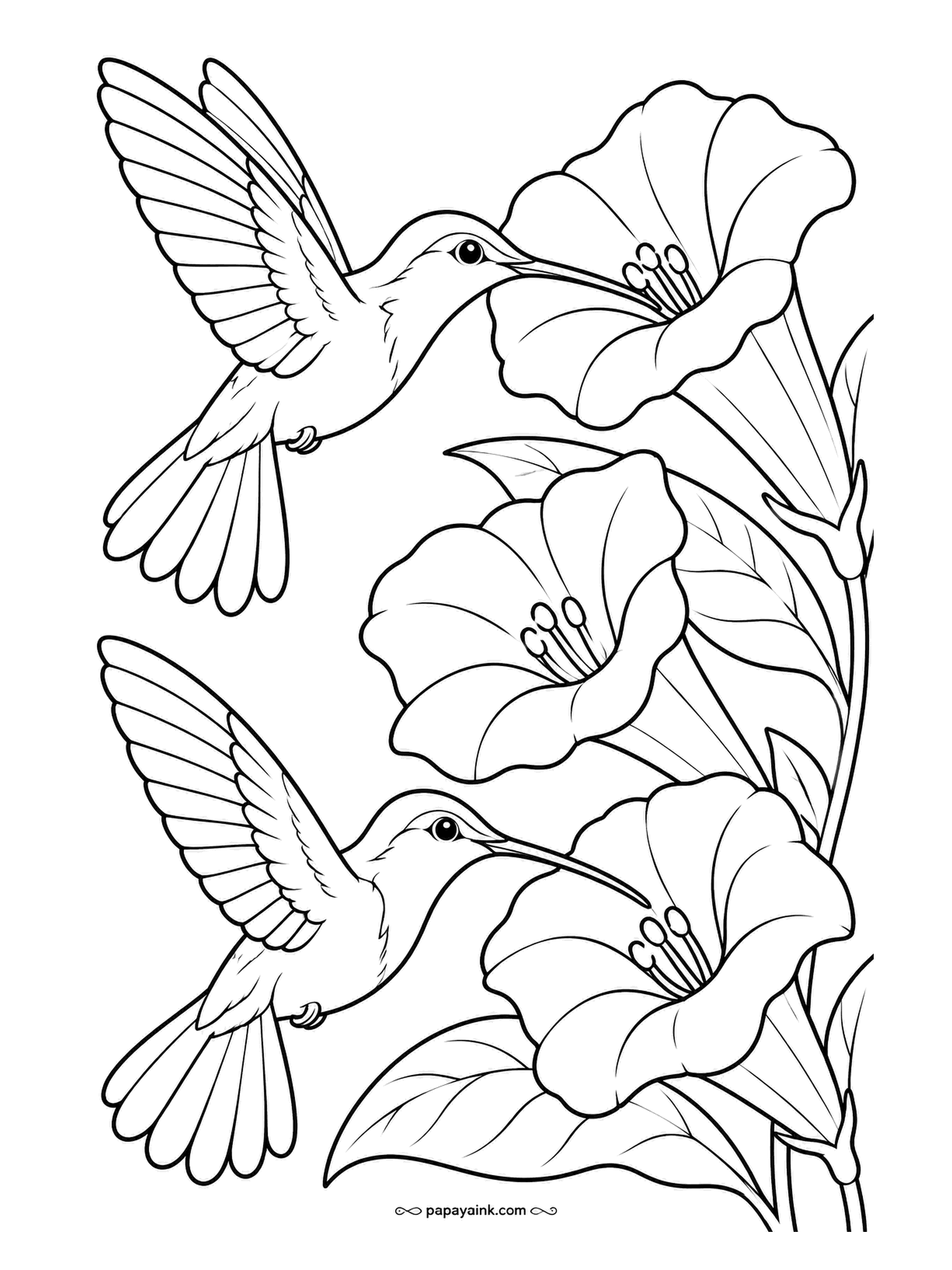Garden Coloring Pages - Two hummingbirds hover at trumpet-shaped blossoms, beaks already in the flowers. Hummingbirds feed on red and orange tubes in a real garden, so those colors fit here, and a touch of green on the birds' backs will catch the light.