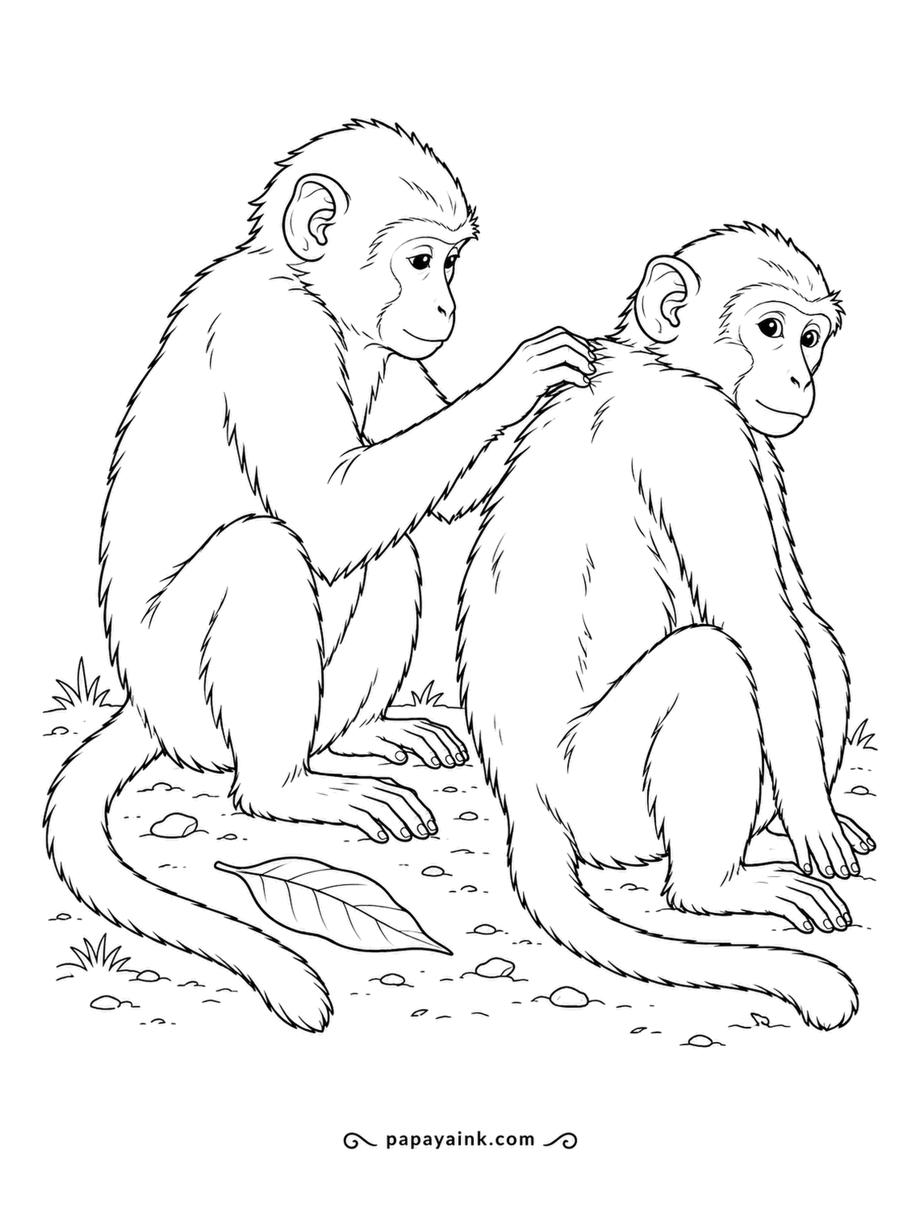 Monkey Coloring Pages - Grooming is how monkeys keep the peace: combing through a friend's fur cleans it and strengthens the bond. One sits patiently while the other works across its shoulders. Realistic and detailed.