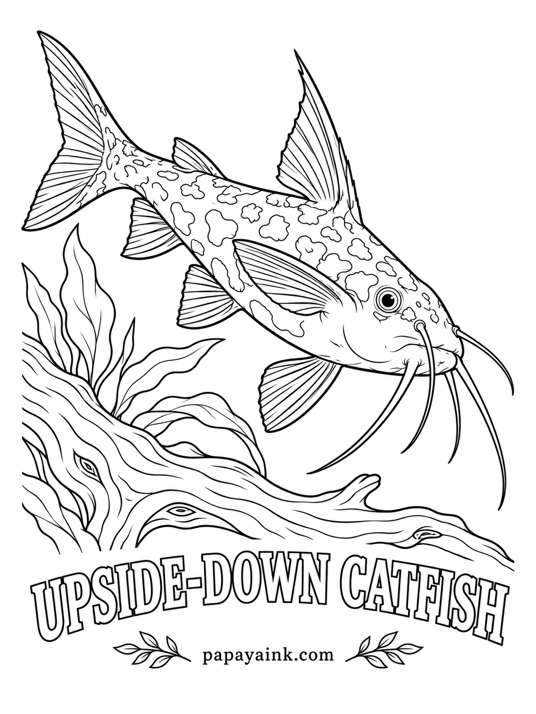 Aquarium Fish Coloring Pages - Belly up is how this African catfish usually swims, grazing the underside of leaves, so its belly is darker than its back. Here it is caught the right way up for once. Spot it in brown over cream.
