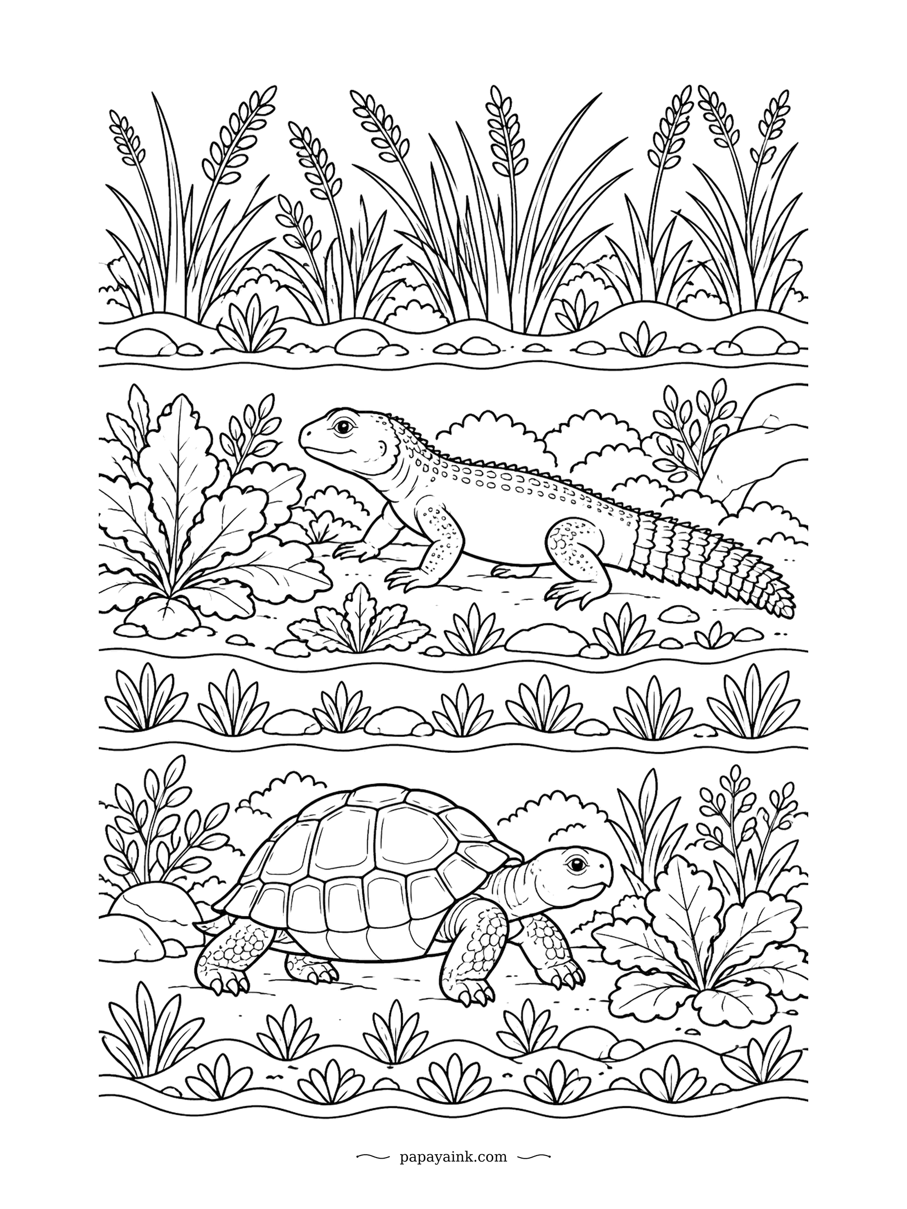 Lizard Coloring Pages - A uromastyx and a tortoise share the spring garden, each on its own row. Both are plant eaters that love leafy greens and flowers. Folk-art bands of grasses and herbs frame them.