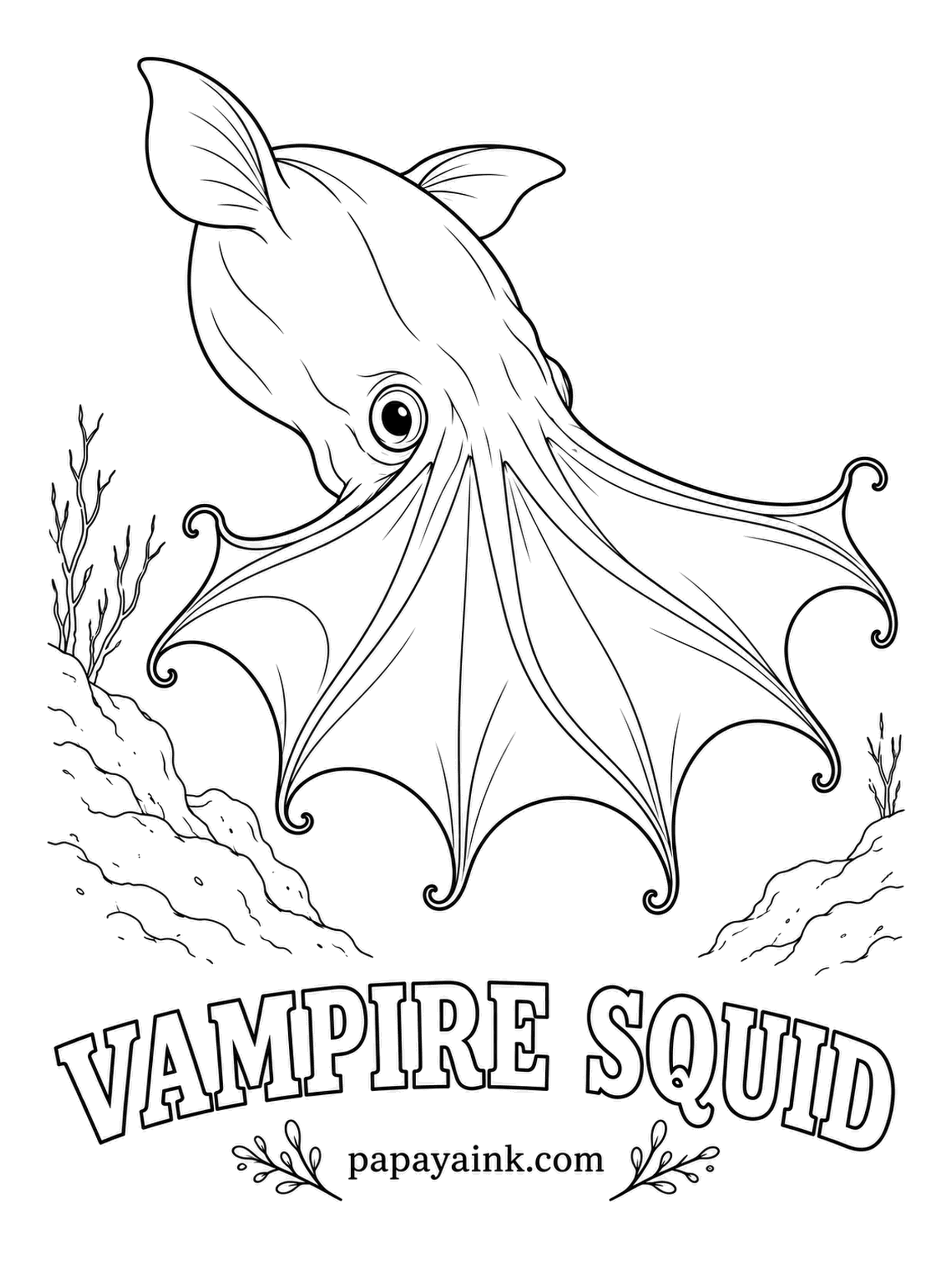 Sea Creature Coloring Pages - Neither a vampire nor a squid. It lives where the water holds so little oxygen that few hunters follow, eats drifting marine snow, and when threatened flips its webbed arms over its body like a cloak. Wine red, eyes a startling blue.
