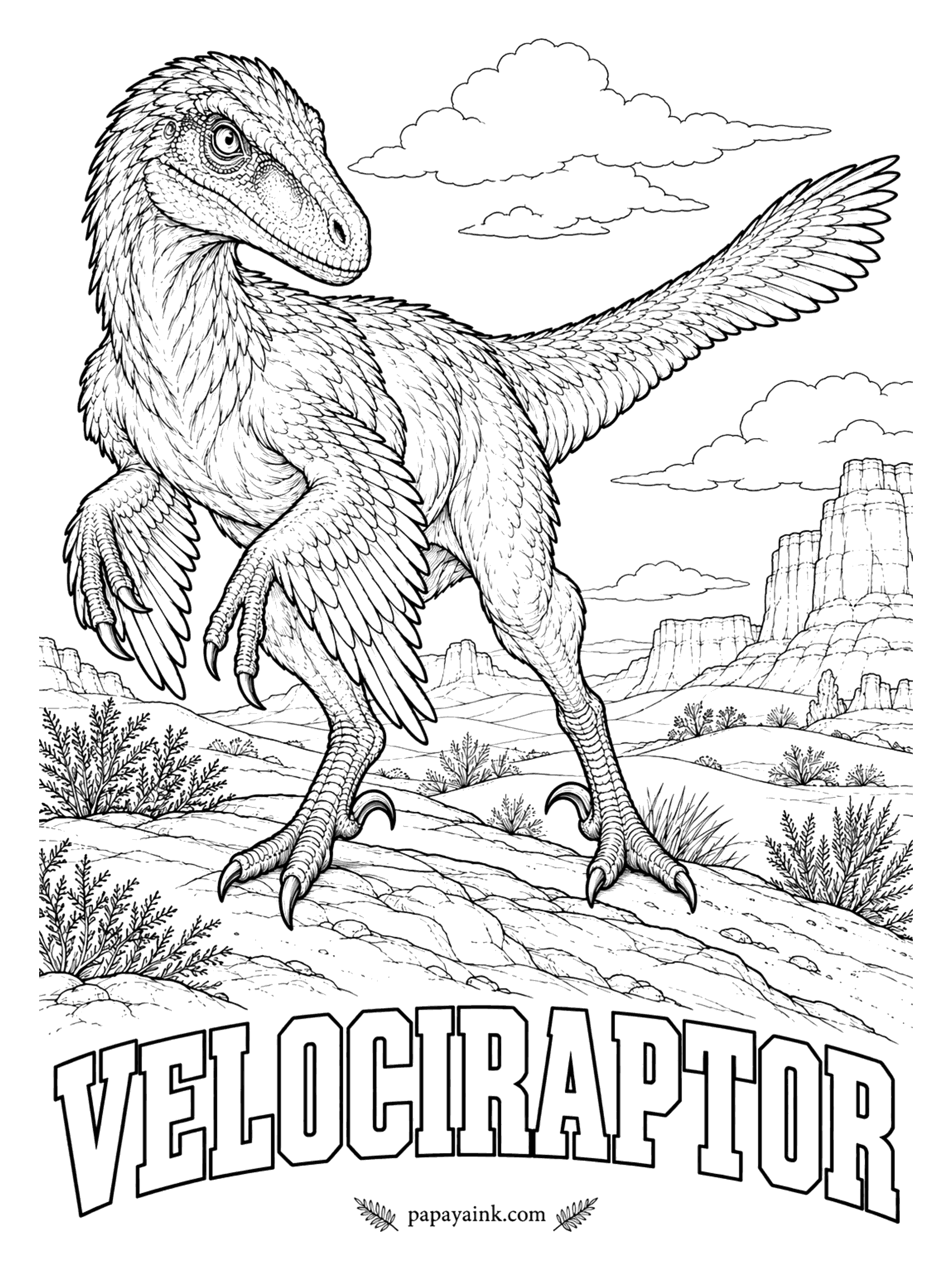 Free Printable Dinosaur Coloring Pages - The real one stood no taller than a turkey and wore feathers. Velociraptor (veh-LOSS-ih-RAP-tor, swift thief) was a meat-eater about 6 feet long from nose to tail, armed with a curved killing claw on each foot. It hunted the deserts of Mongolia around 75 million years ago.