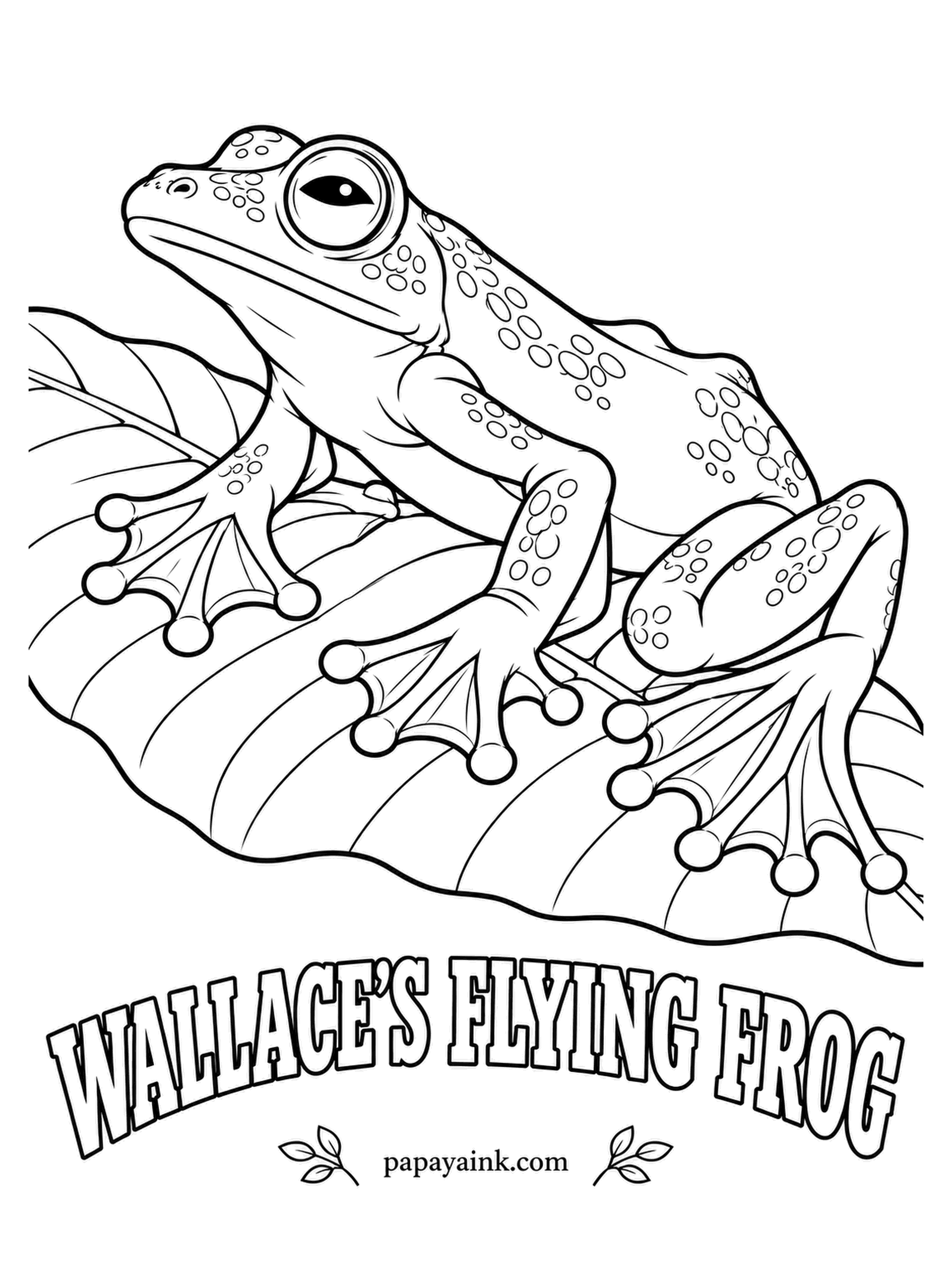 Amphibian Coloring Pages - Named for the naturalist who collected it in Borneo, Wallace's flying frog spreads huge webbed feet and glides up to fifty feet between trees. Paint it vivid green with yellow sides and black webbing, which its Latin name nigropalmatus means.