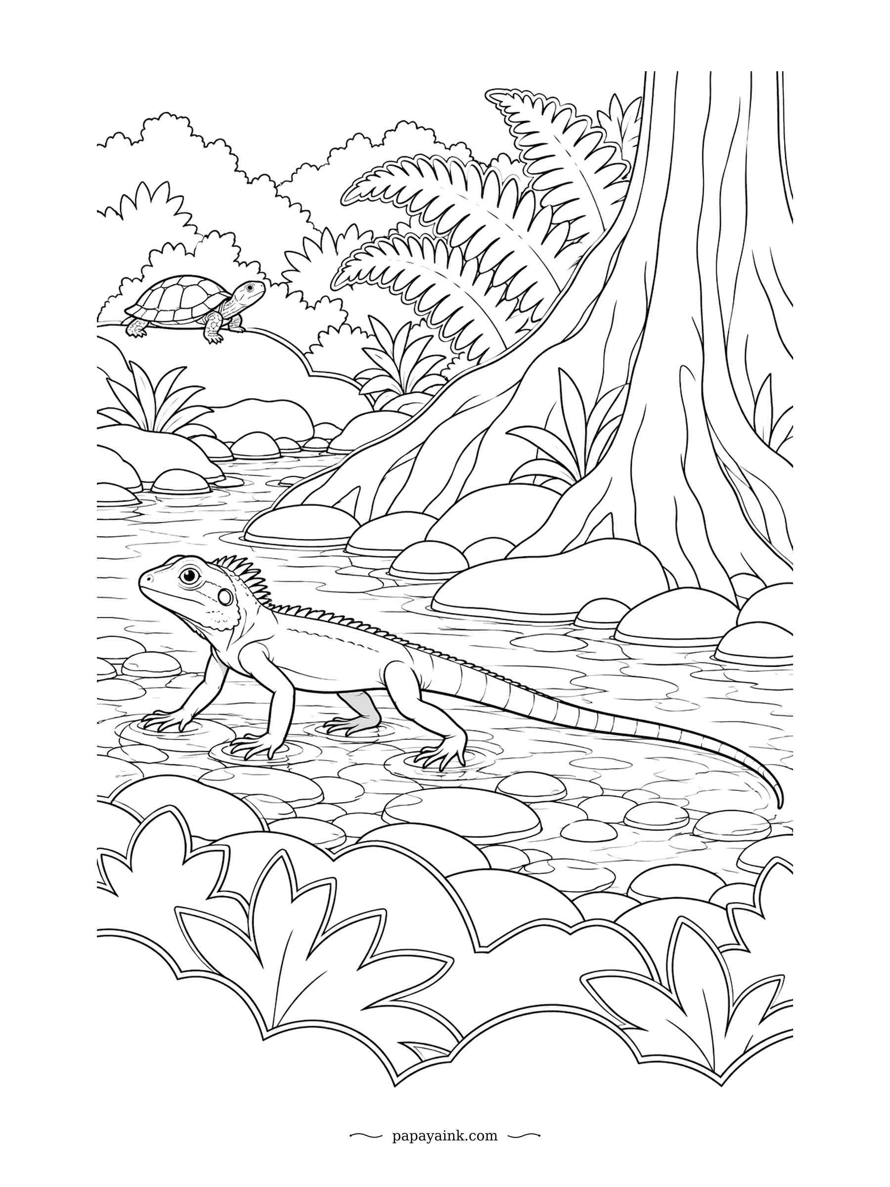 Lizard Coloring Pages - Water dragons are never far from a stream, and this one wades across the shallows over smooth stones. A turtle sunbathes on the far bank. Big tree roots and ferns to fill.