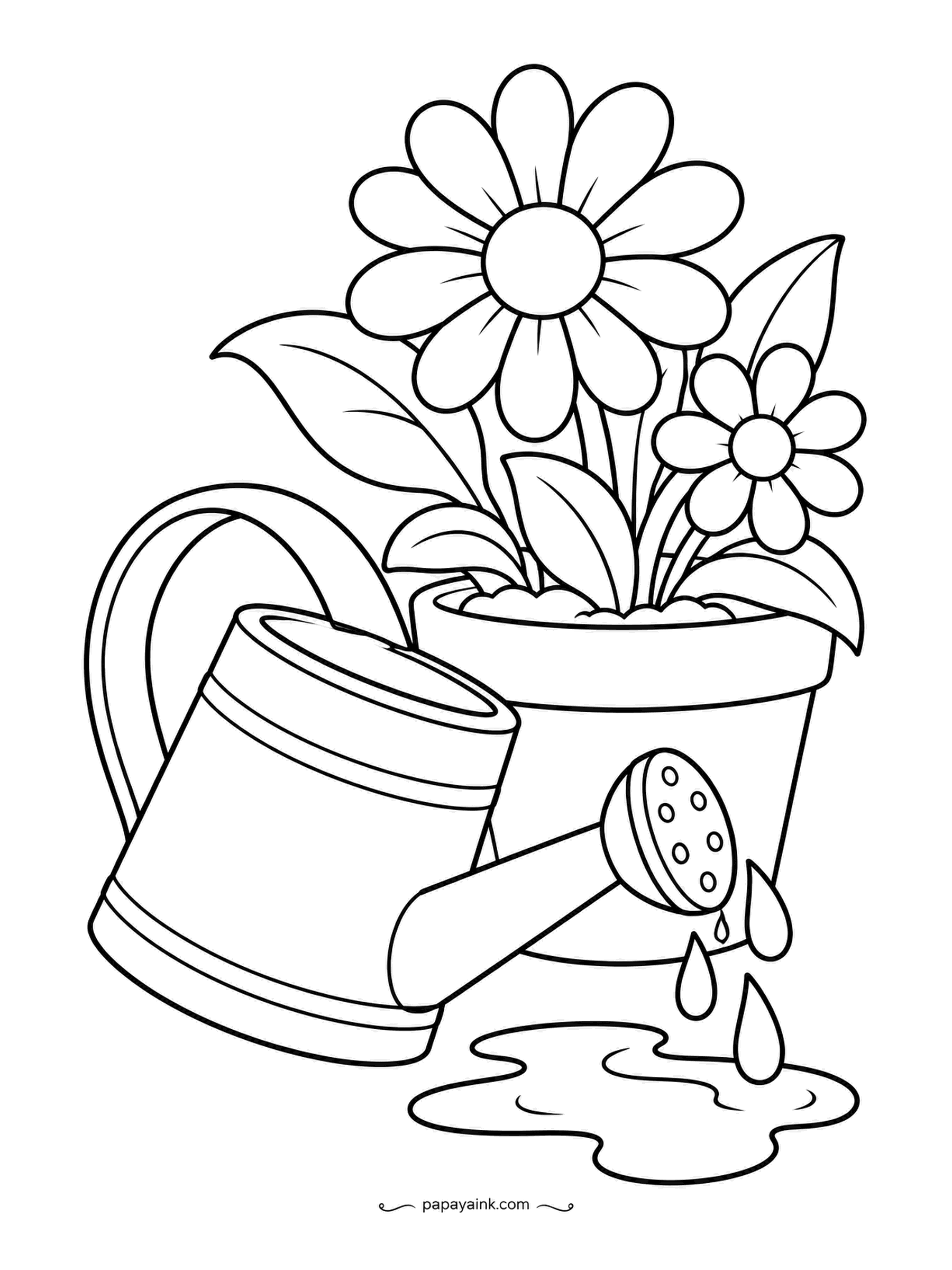 Garden Coloring Pages - The can is tipped, the pot is watered, and the last drops are still falling into a puddle on the ground. Galvanized metal for the can - silver with a darker band at the seams - and the daisies in the pot look freshly revived.