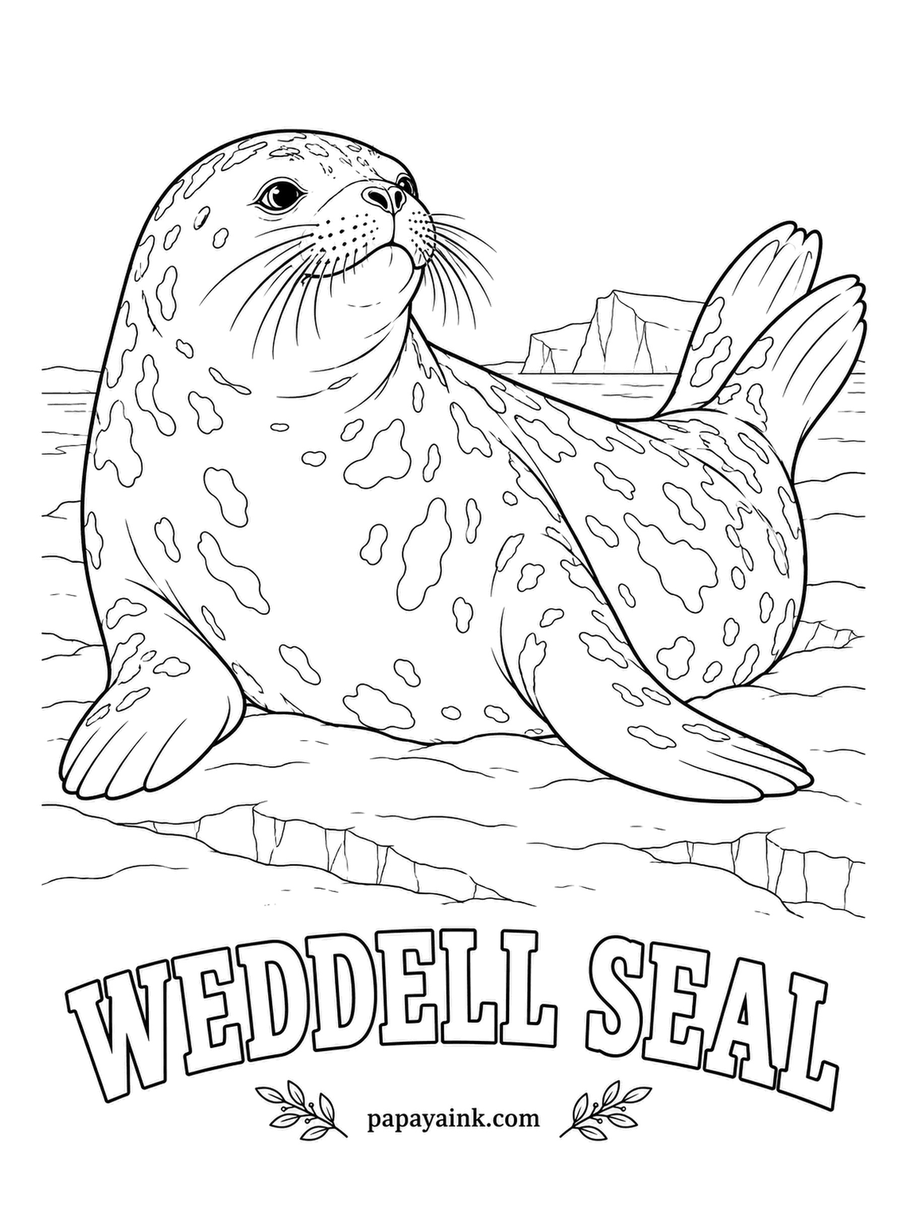Sea Creature Coloring Pages - This is the seal that lives farthest south of any mammal, under the Antarctic ice, and keeps its breathing holes open by chewing. Mottled slate over a silvery belly, and the eyes almost black against the pale face.