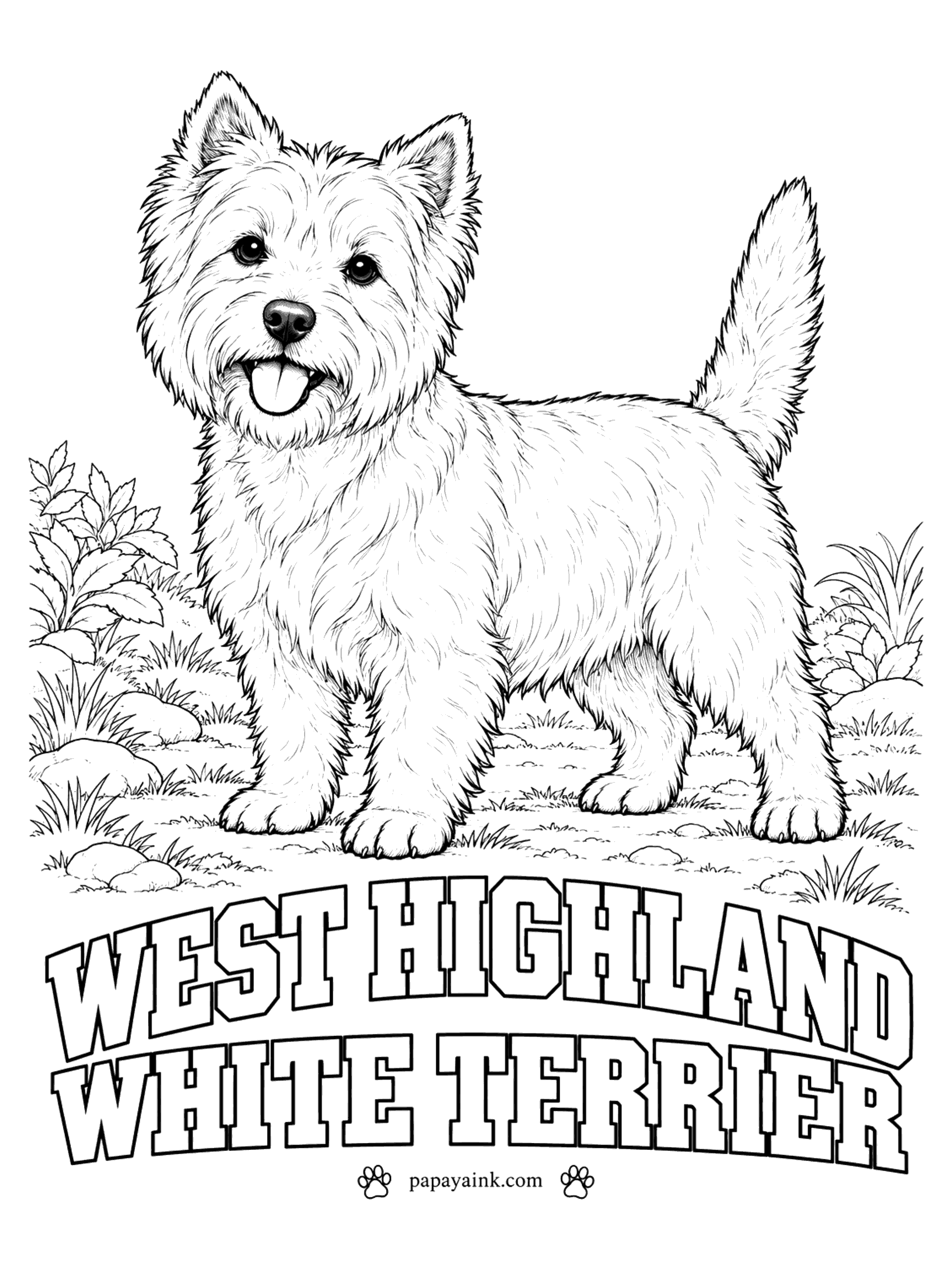 Free Printable Dog Coloring Pages - All white from top to toe, with a black nose and dark eyes: the West Highland white terrier, or Westie. The coat is harsh and stands away from the body. Shade it with warm gray and spend the real color on the leaves and grass.