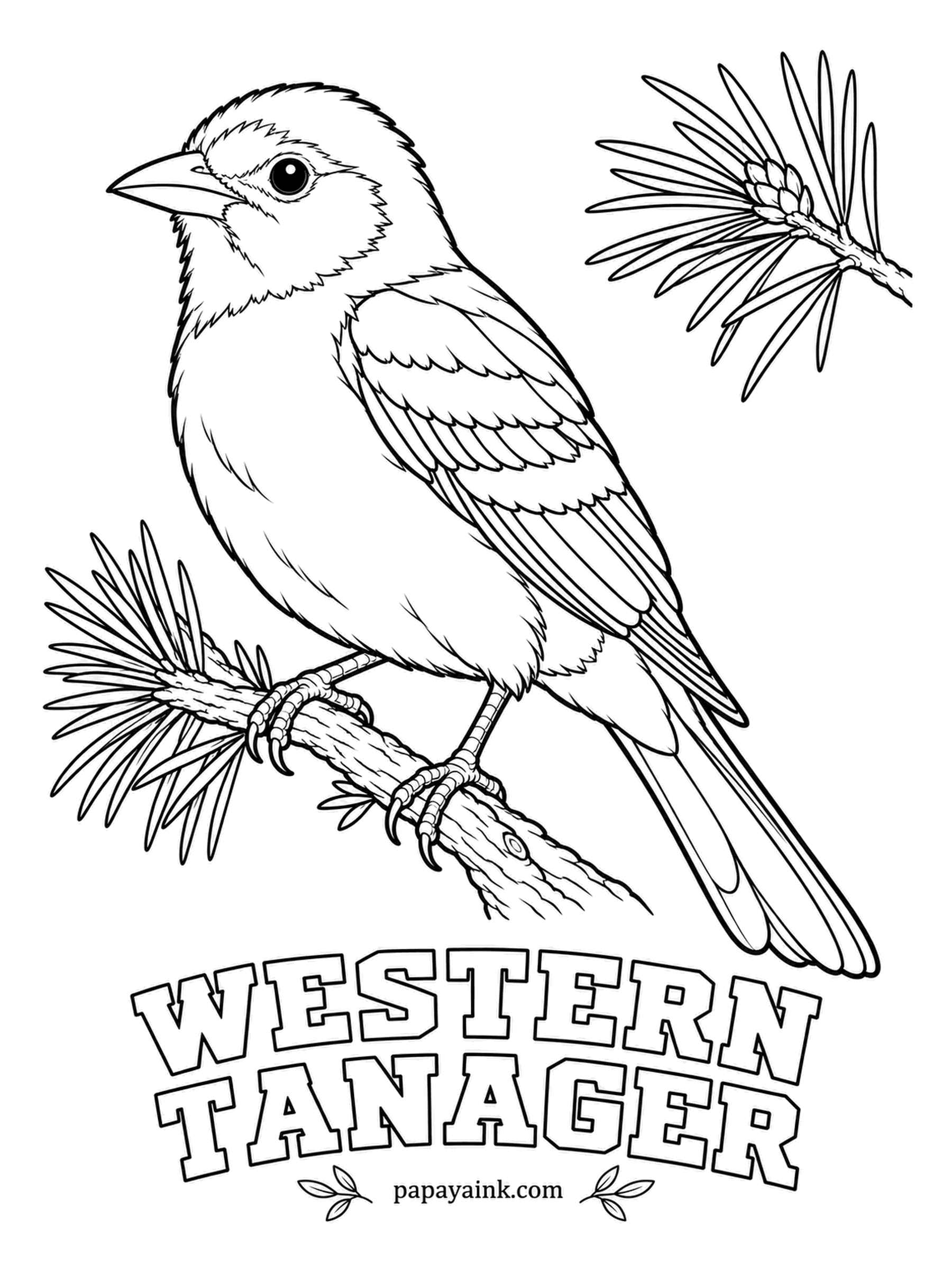 Printable Bird Coloring Pages - A rare pigment from the insects it eats gives this tanager its red face. A male Western Tanager is bright yellow with a red-orange head, a black back and black wings with two pale wing bars. Blend orange where red meets yellow.