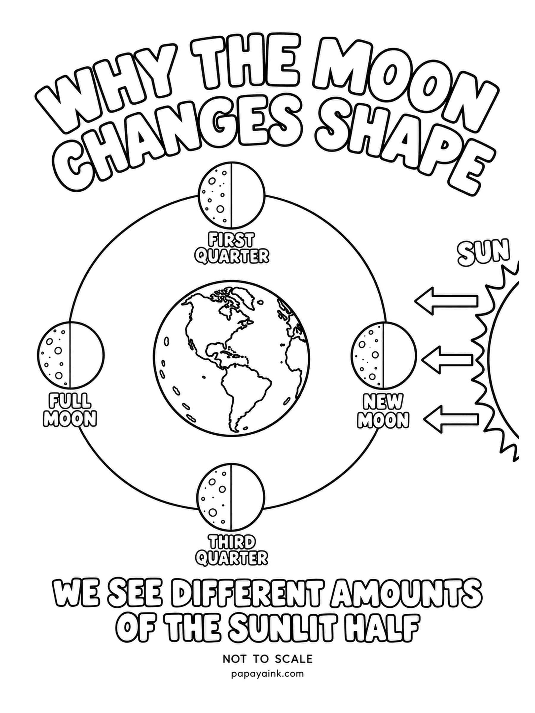 Earth Coloring Pages - Sunlight always lights half the moon; what changes is how much of that lit half we see as it circles us. New moon nearest the sun, full moon opposite, quarters between. Leave each moon white toward the arrows and darken the far half.