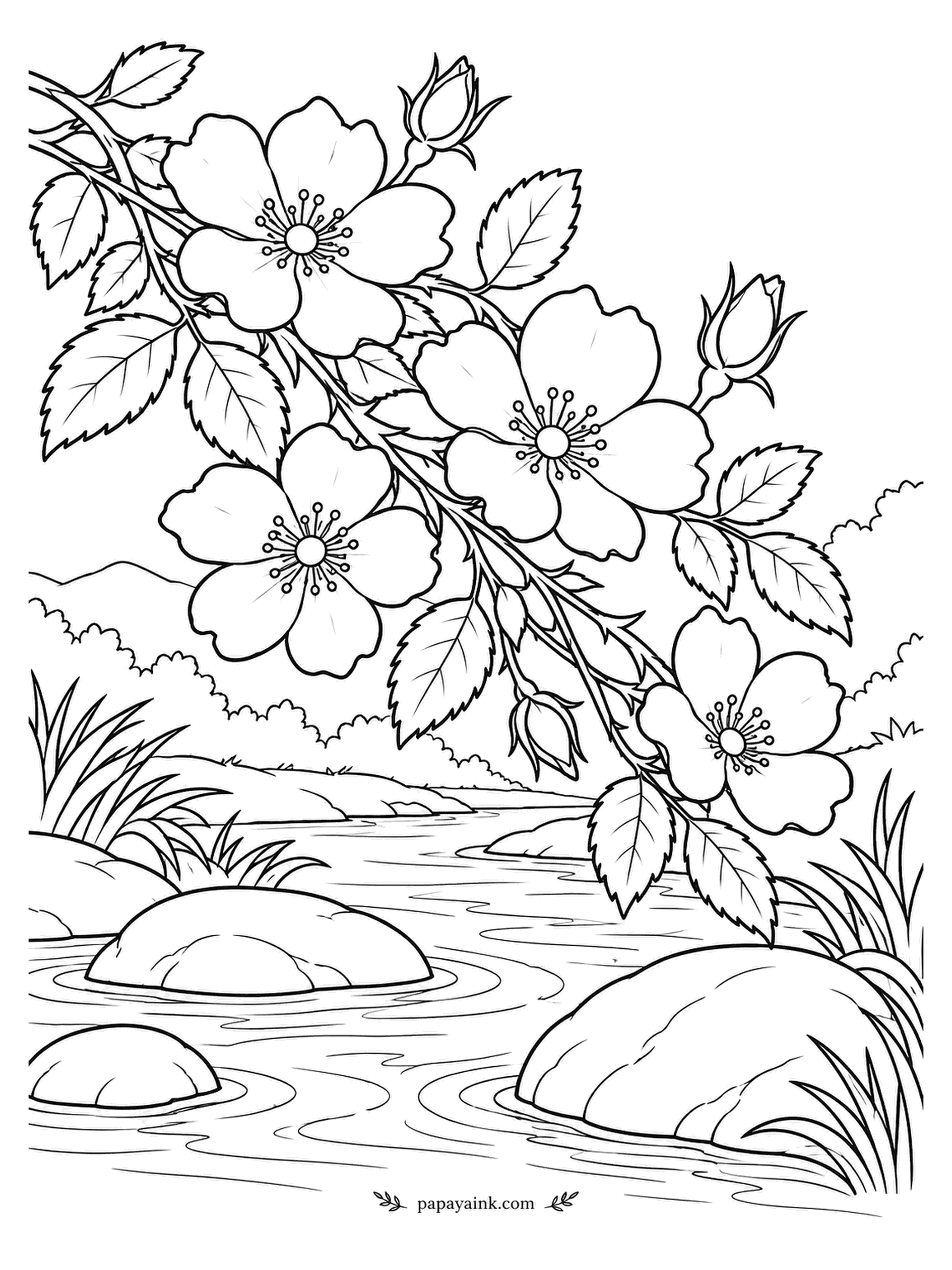 Rose Coloring Pages - The original rose design survives in the wild: five petals, a ring of stamens and hips to follow in autumn. A prickly branch leans over a slow stream and its rounded rocks. Pale pink petals with a yellow center are true to life.