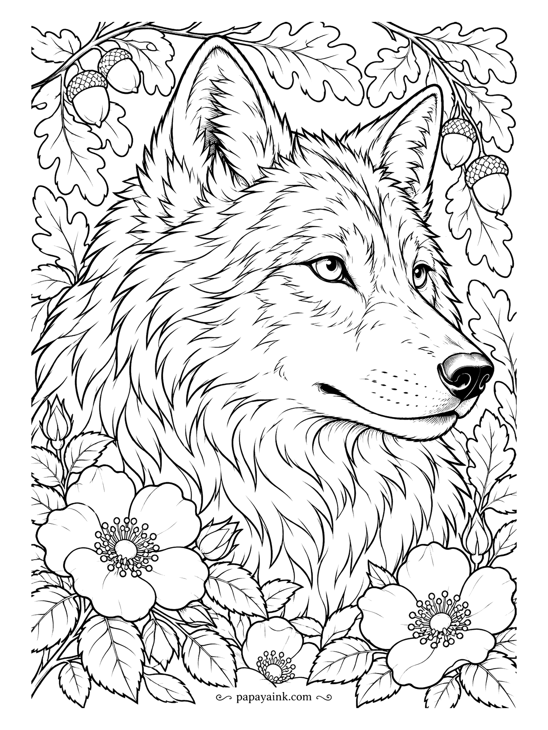 Wolf Coloring Pages - Three-quarter portrait of a wolf in autumn, oak leaves and acorns overhead, wild roses below. The eyes carry the page - leave a white highlight in each one. Detailed fur.