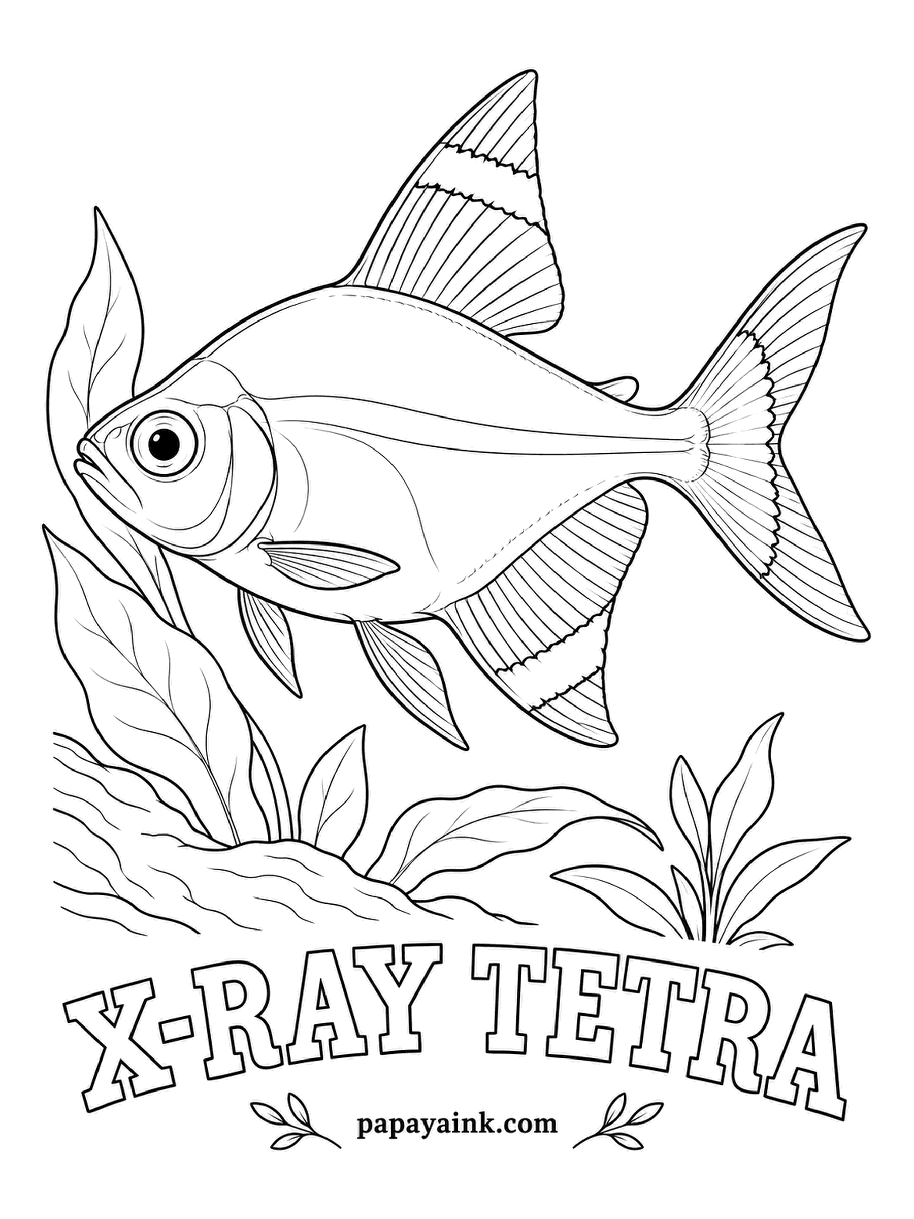 Aquarium Fish Coloring Pages - See-through enough that you can make out its backbone, the x-ray tetra hides in plain sight in South American rivers. The fins carry patches of yellow, black and white. Sketch a faint gray spine before coloring the rest.