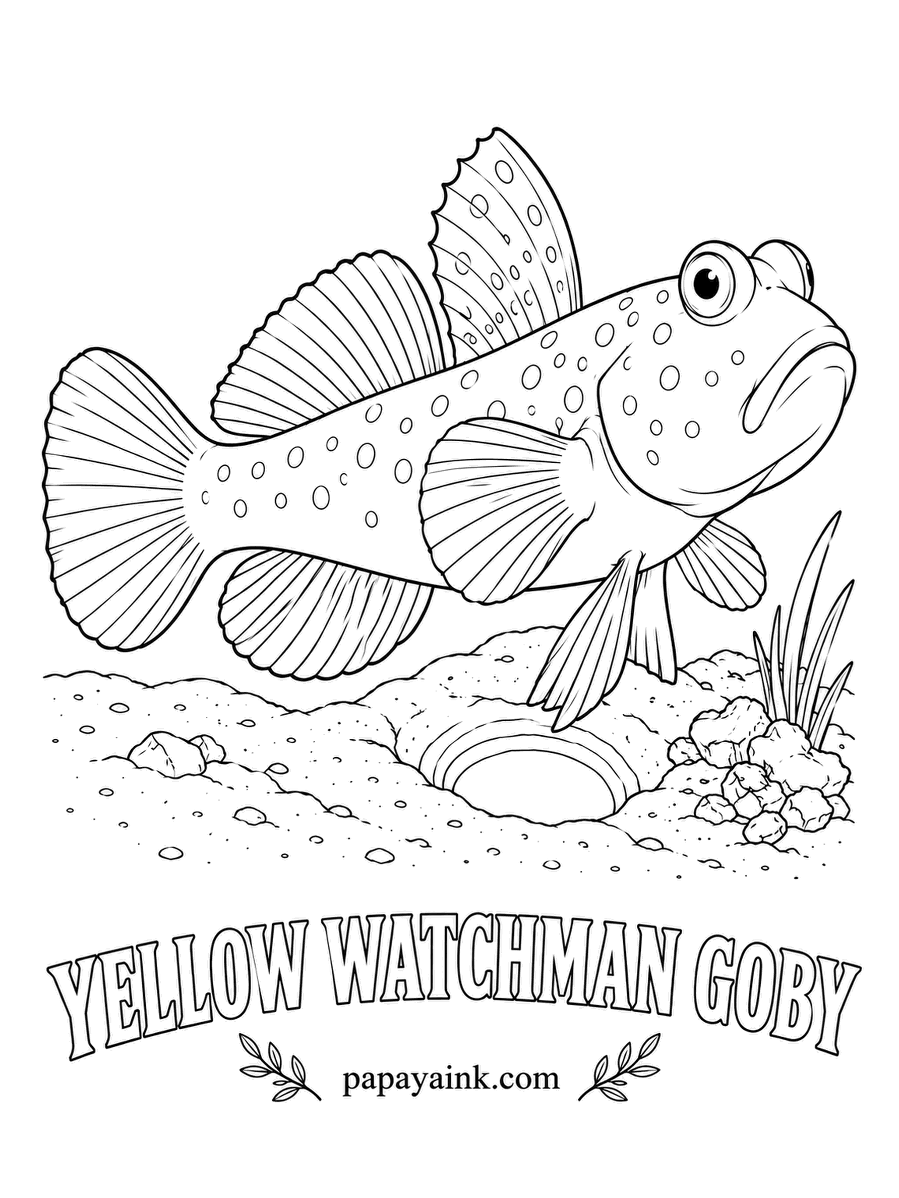 Ocean Fish Coloring Pages - Roommates share this burrow: a pistol shrimp digs it, though it can barely see. The shrimp keeps one antenna touching the goby, and a flick of the goby's tail sends both diving inside. Bright yellow with small pale blue spots.