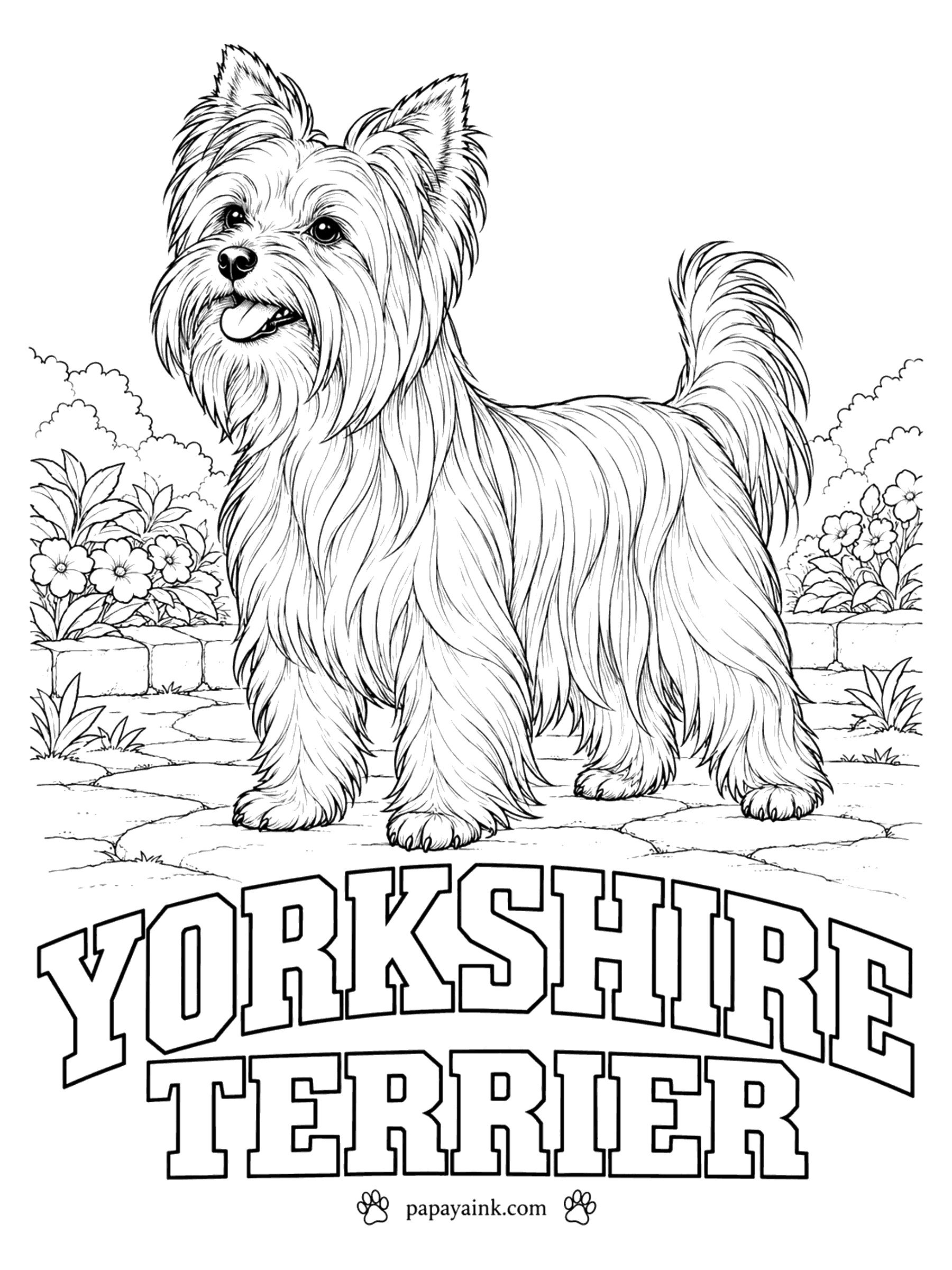 Free Printable Dog Coloring Pages - Seven pounds at most, with a coat closer to human hair than to fur - the Yorkshire terrier. An adult is steel blue from the neck to the tail and golden tan on the head, chest and legs. Stroke downward, along the strands.
