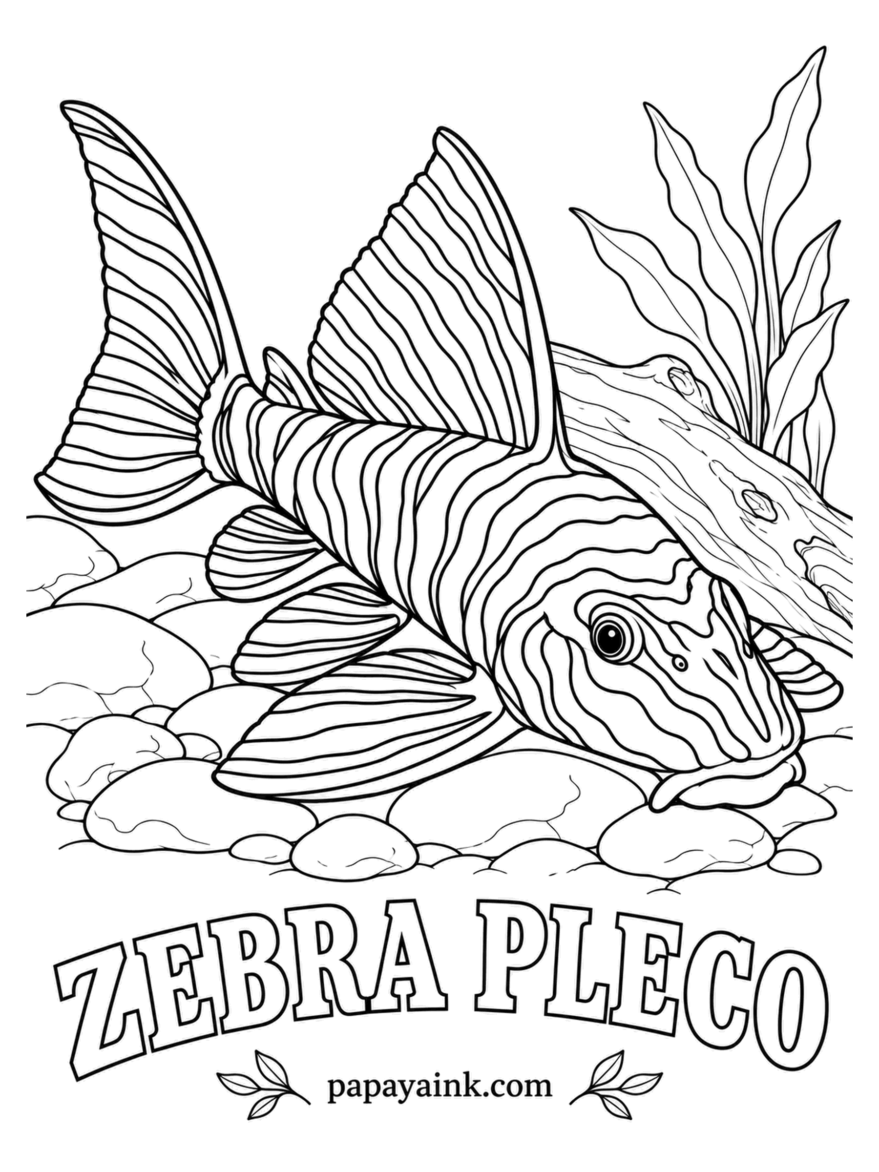 Aquarium Fish Coloring Pages - Found in one stretch of the Xingu River in Brazil and nowhere else, the zebra pleco is one of the most prized catfish in the hobby. Jet black stripes on white run even across the fins. Use your blackest pencil and leave the white untouched.