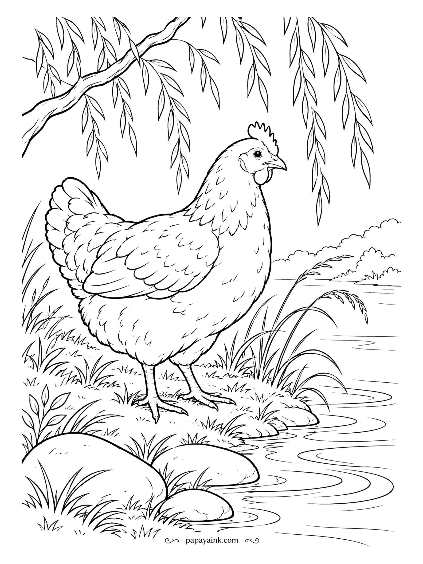 Chicken Coloring Pages - Willow fronds hang over a quiet stream while the hen pauses on the bank between the rocks. A calm, open composition with room to breathe. Try cool greens and grays, and leave the water mostly white.
